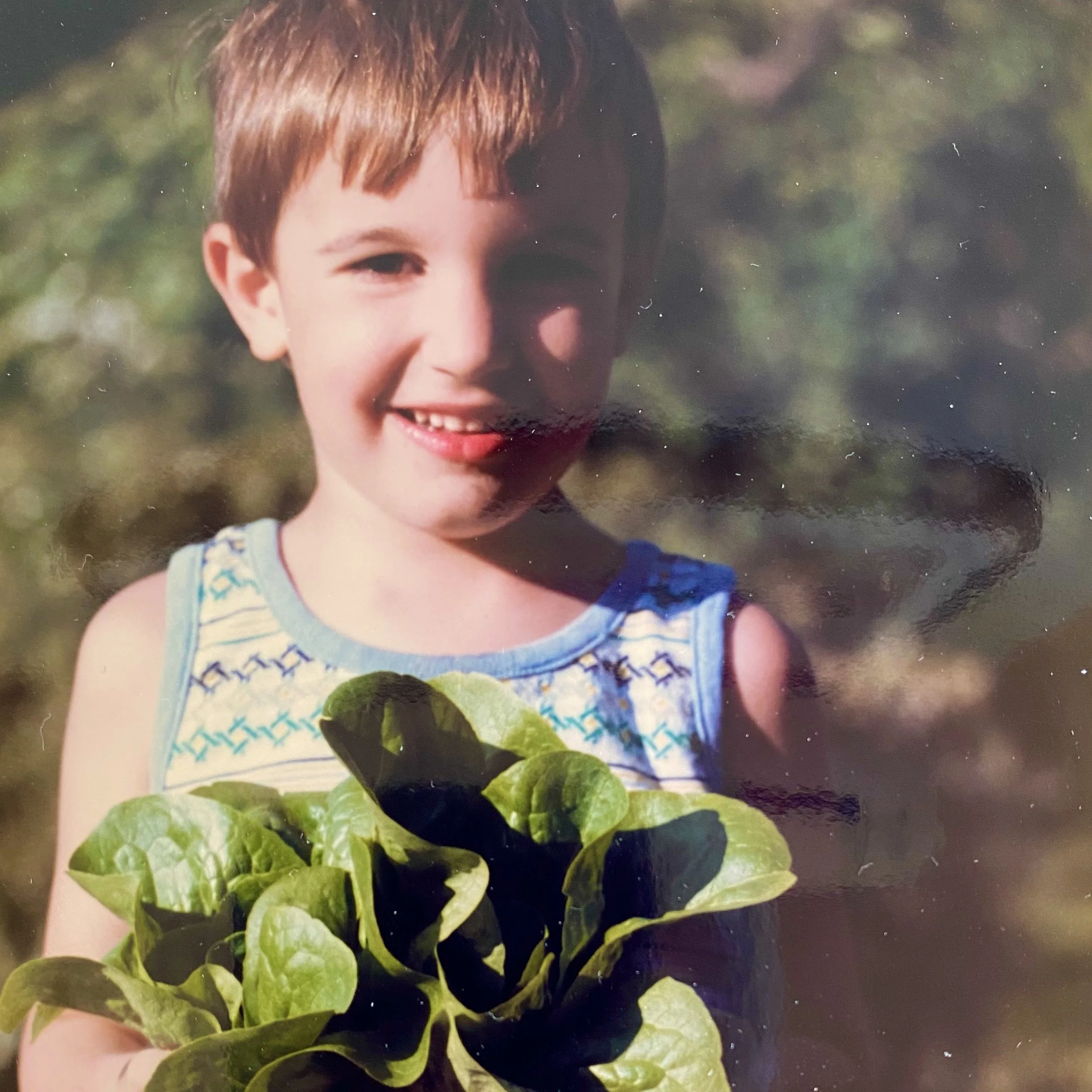 Our Vegetable Garden, 1985
