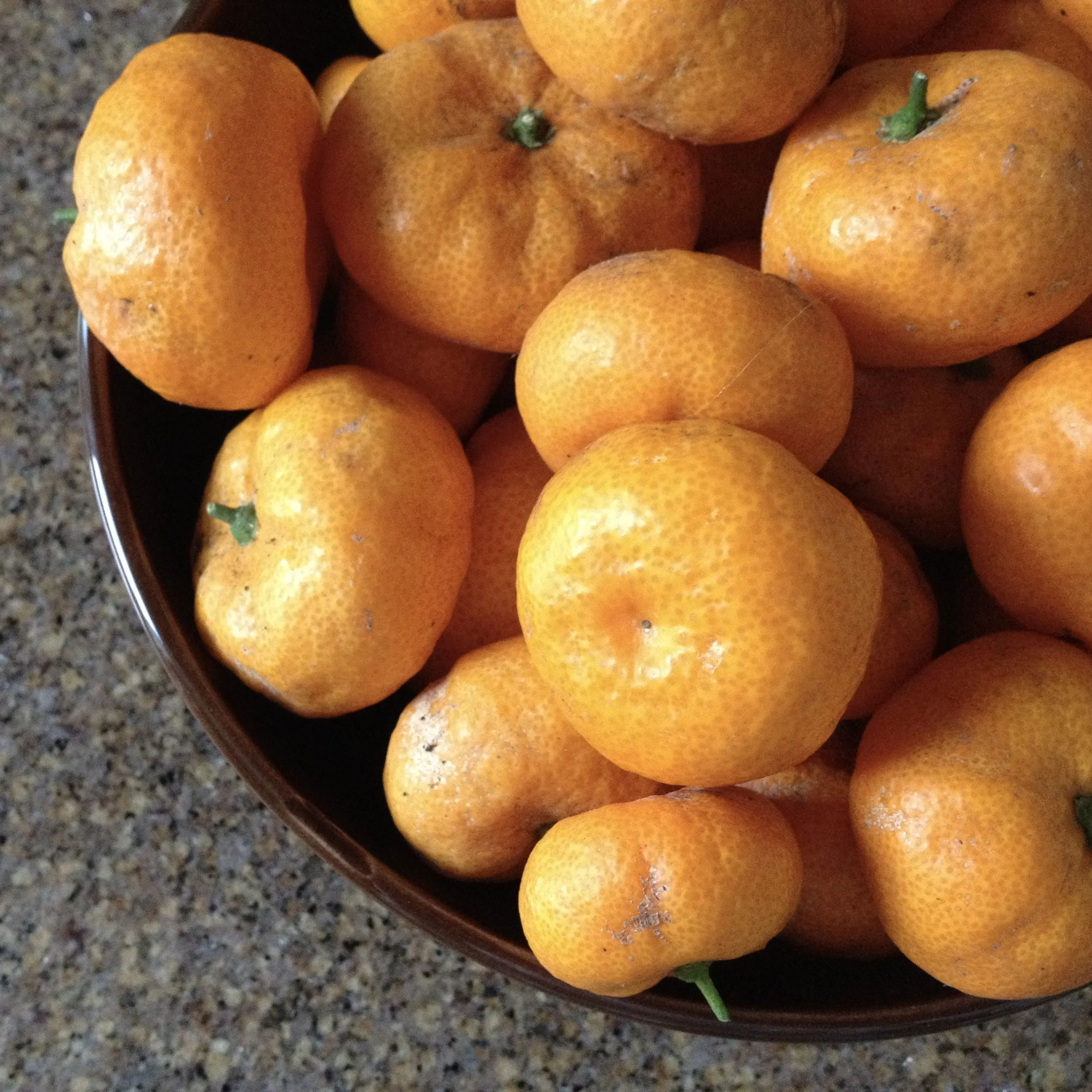 In My San Diego Garden and Kitchen