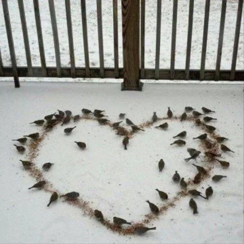 Valentine's Day in Other Places