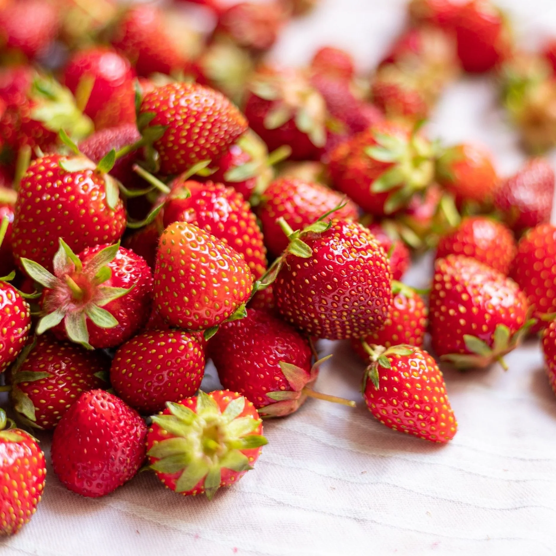 Plan Your Garden: The Dirty Dozen and Clean 15
