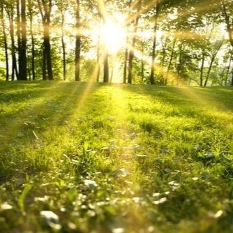 Emily Dickinson on Spring