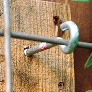 Easy DIY: Turn a Fence Into a Trellis
