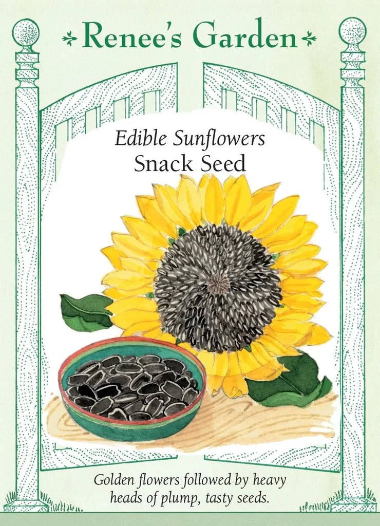 5305SunflowerSnack_1024x1024.jpg