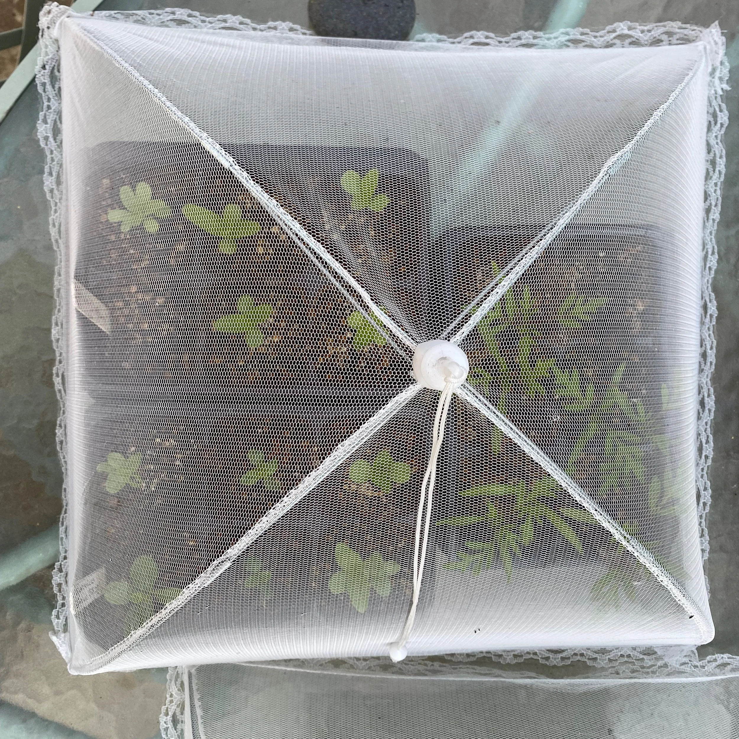 Garden Hacks--10