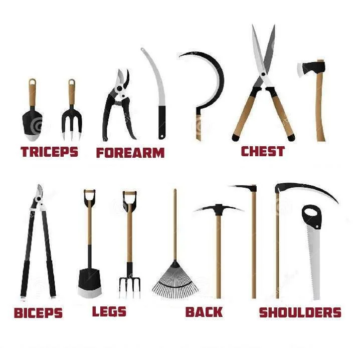 Garden Themed Workout: Exercise While Gardening