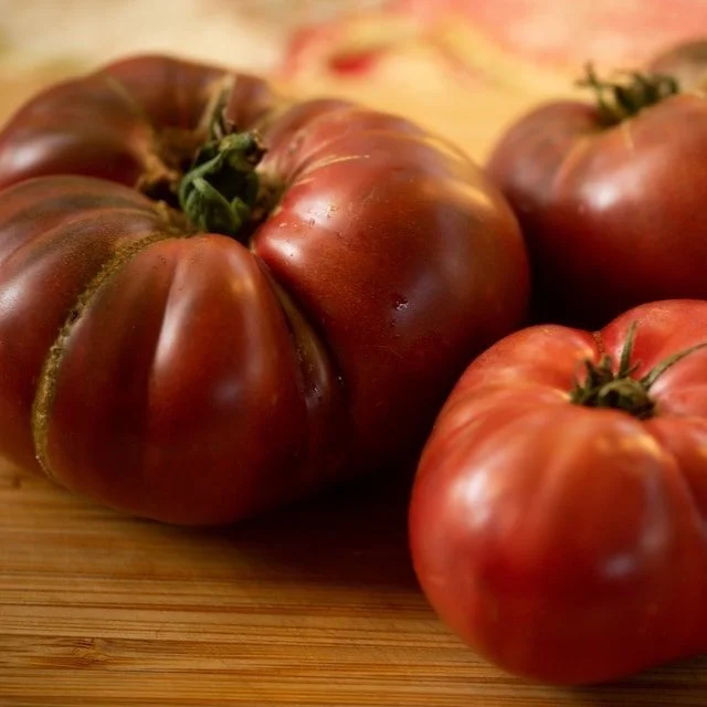 Dwarf Tomatoes: Rethinking Tomatoes in the Fog Belt (Again)