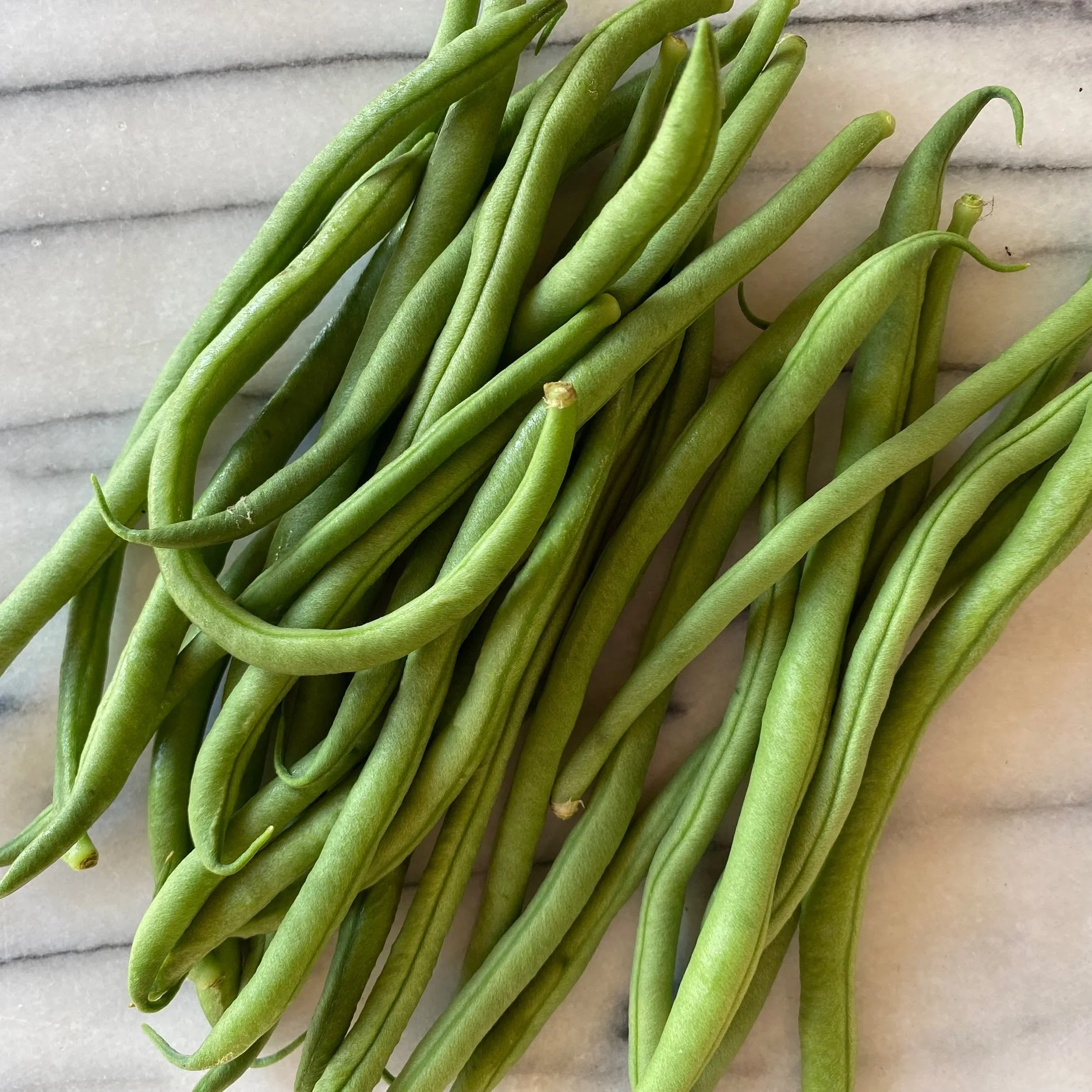 In My San Diego Garden and Kitchen