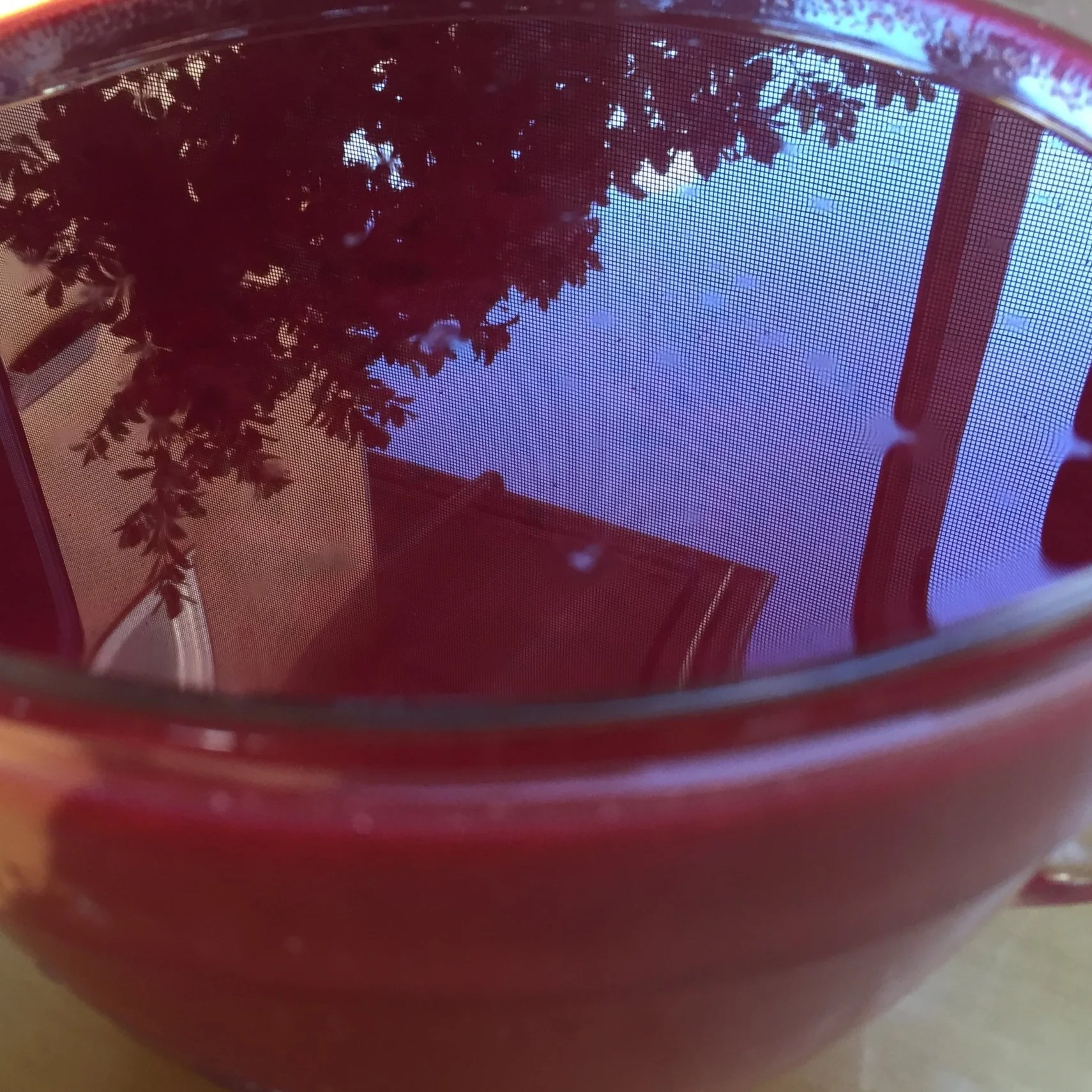 Strawberry Guava Redux, Part 2