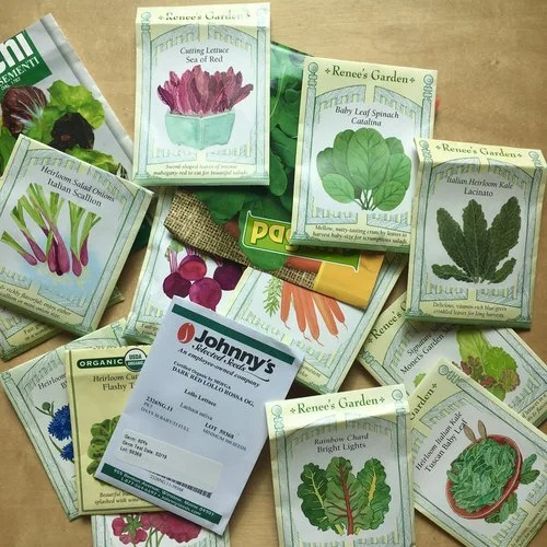 How Long Do Seeds Last?