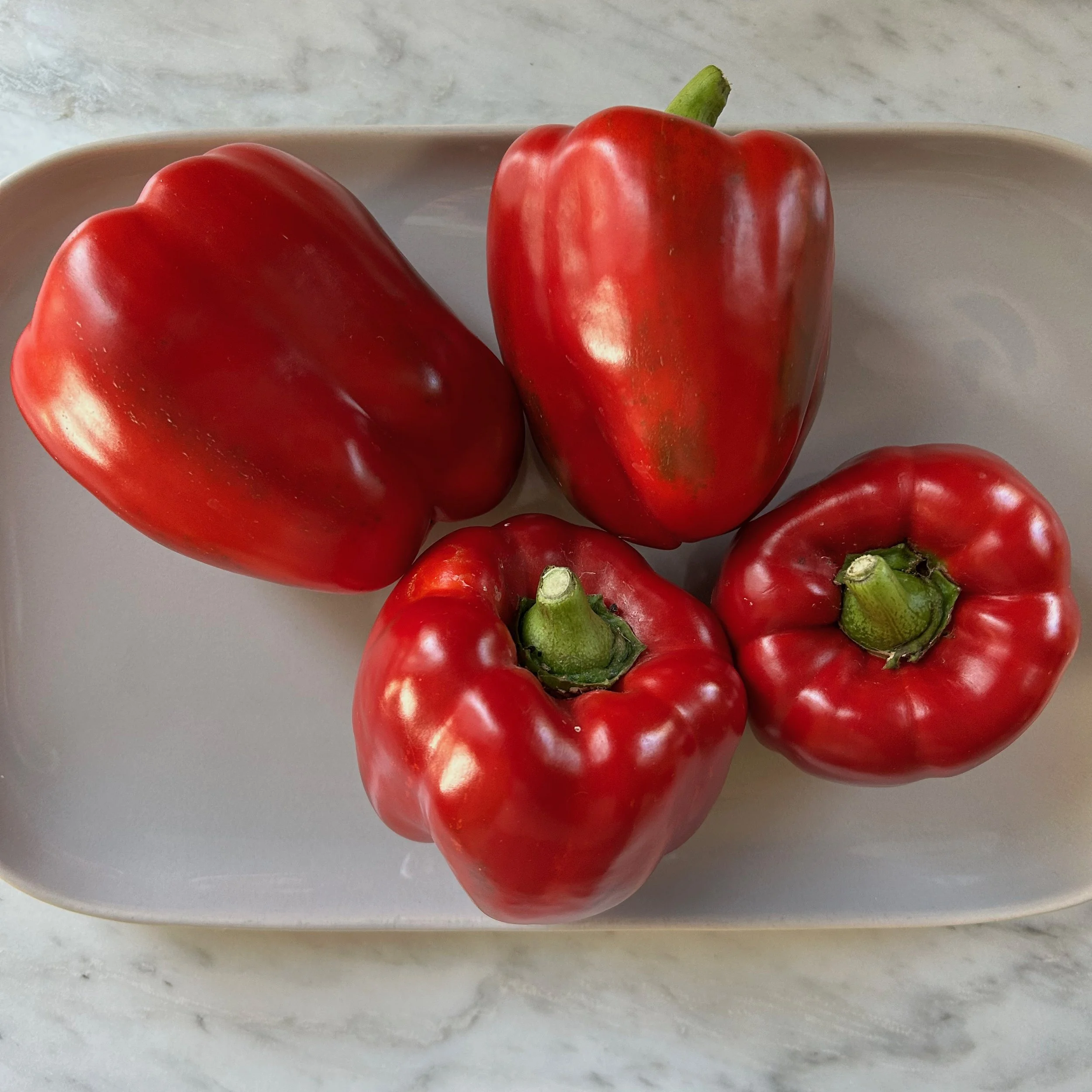 In My San Diego Garden and Kitchen
