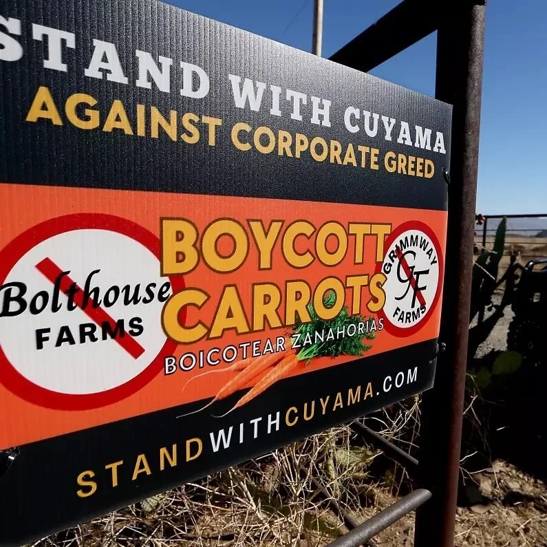 Boycotting Big Carrot