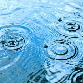 6 Easy Ways to Save Rainwater 