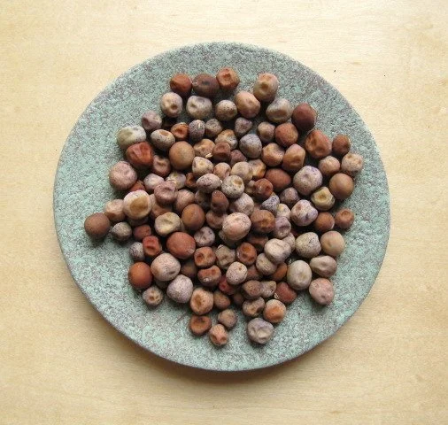 Putting in the Seed by Robert Frost