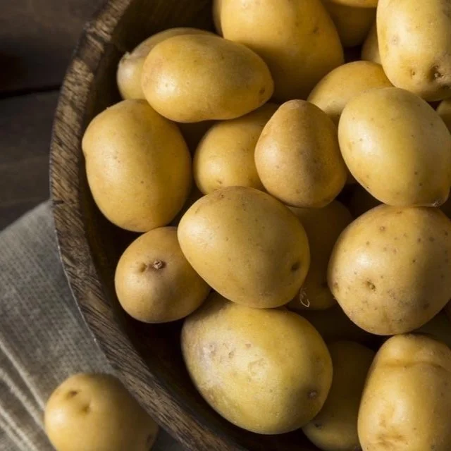Growing Potatoes