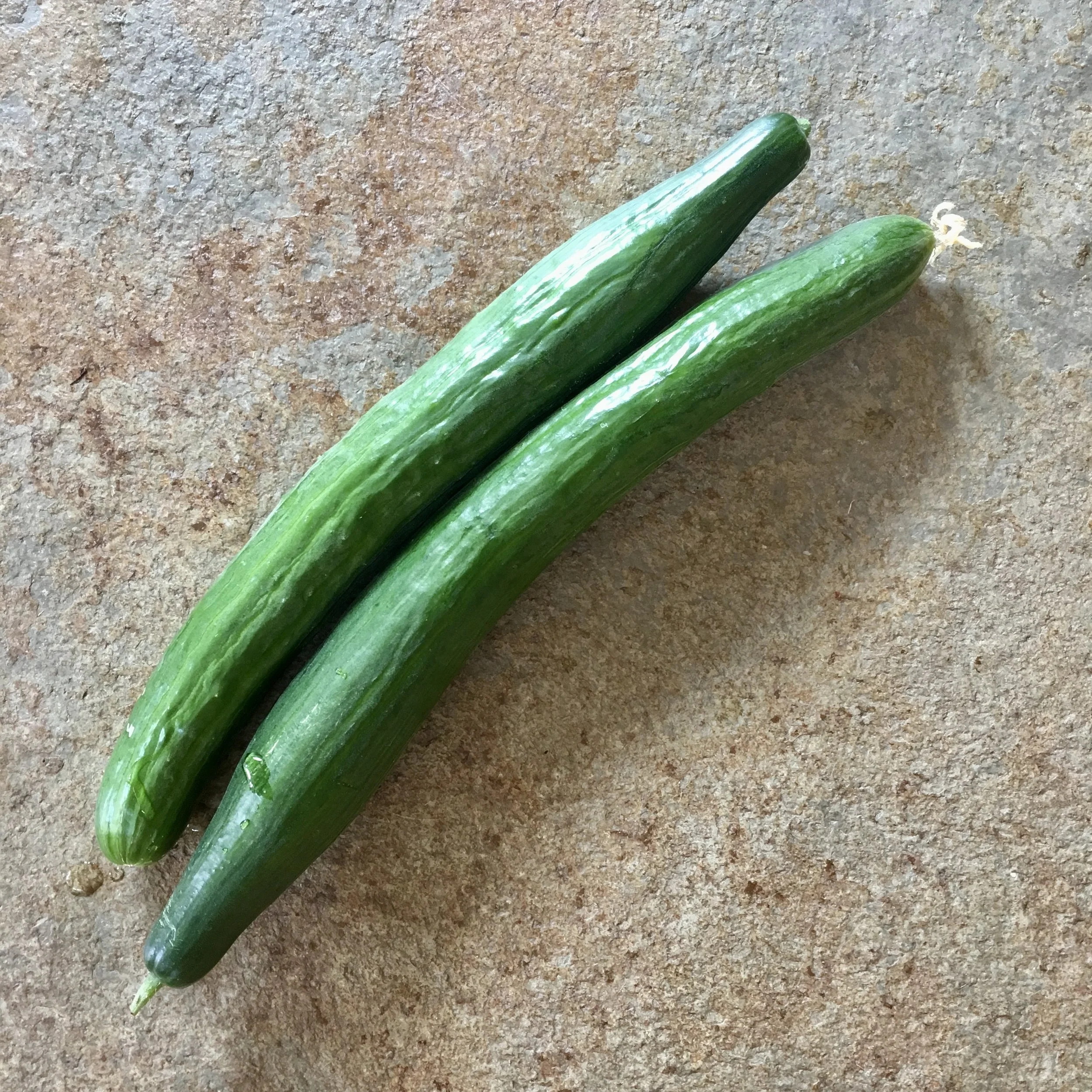 Understanding Cucumbers
