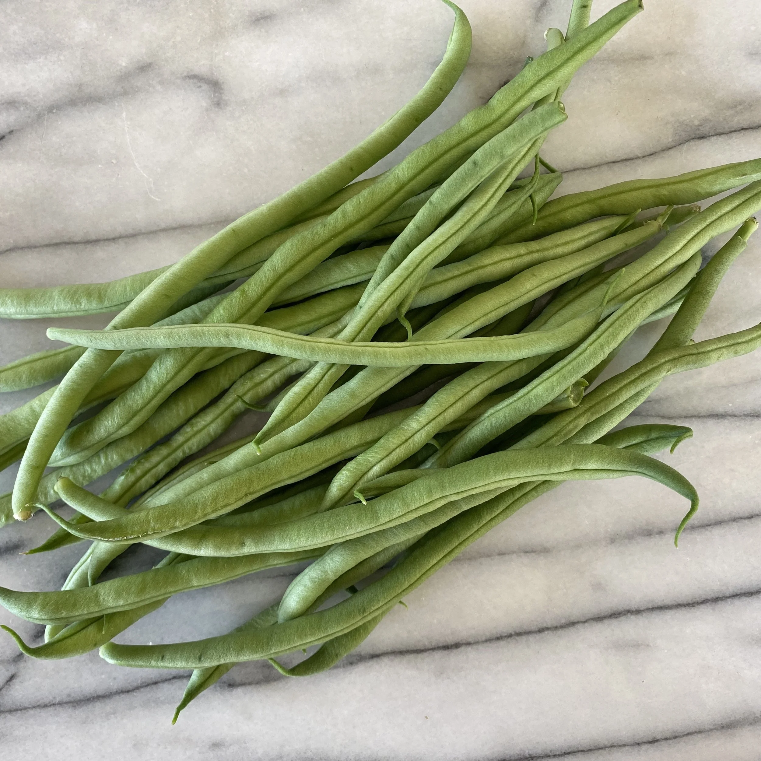 In My San Diego Garden and Kitchen