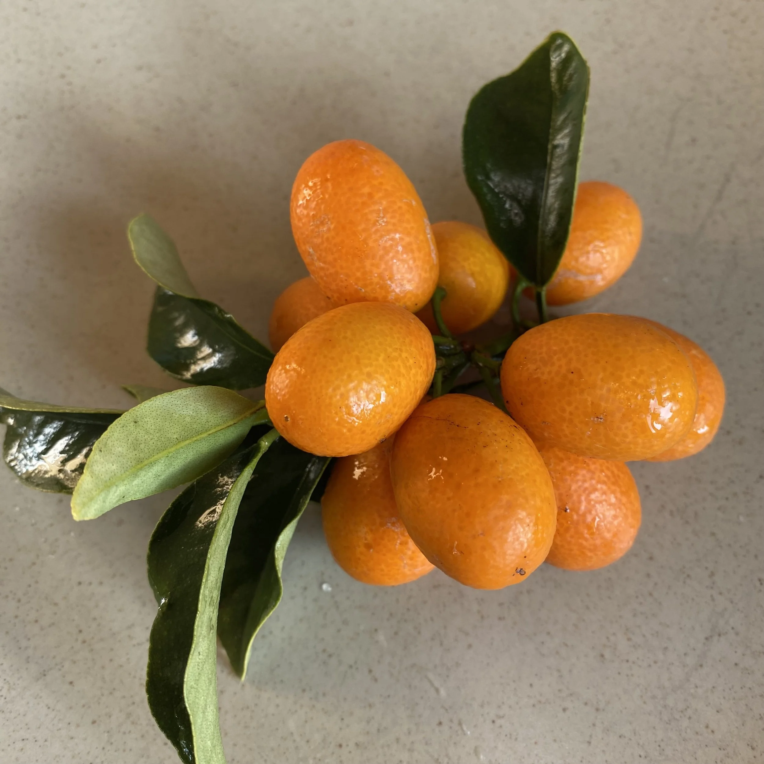 Anticipated Harvests