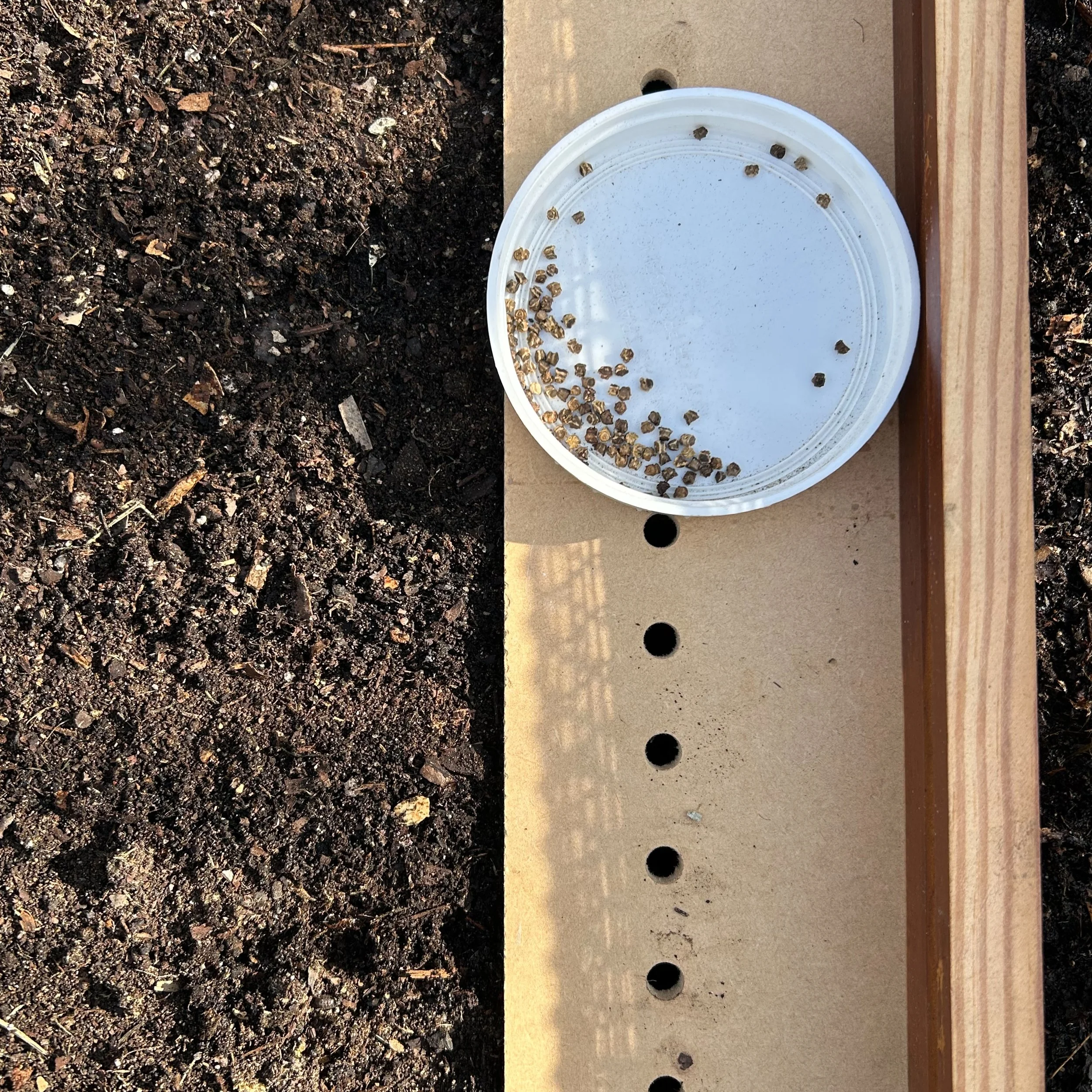 Garden Hacks--11