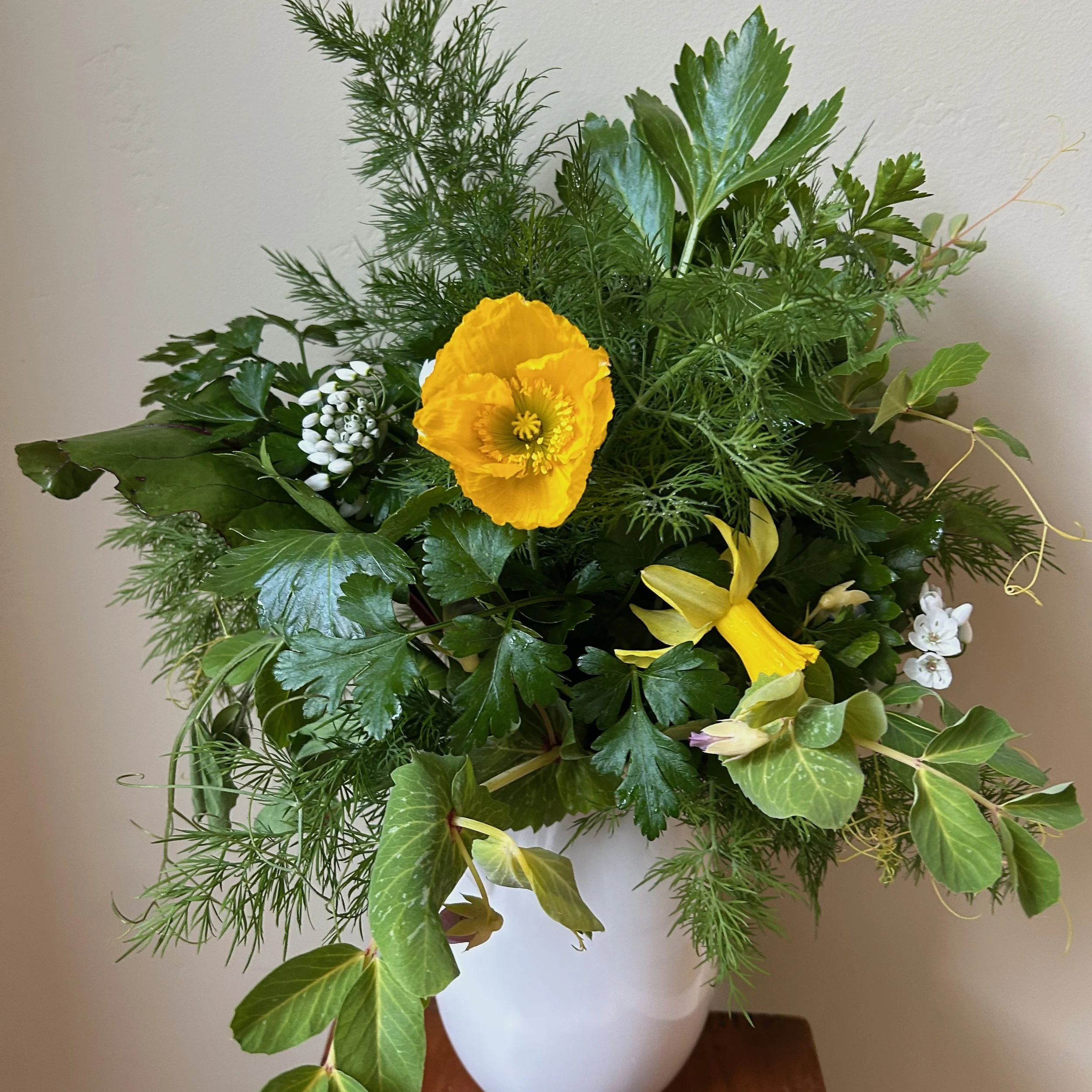 In My San Diego Garden and Kitchen