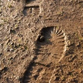 March Is Mud Season