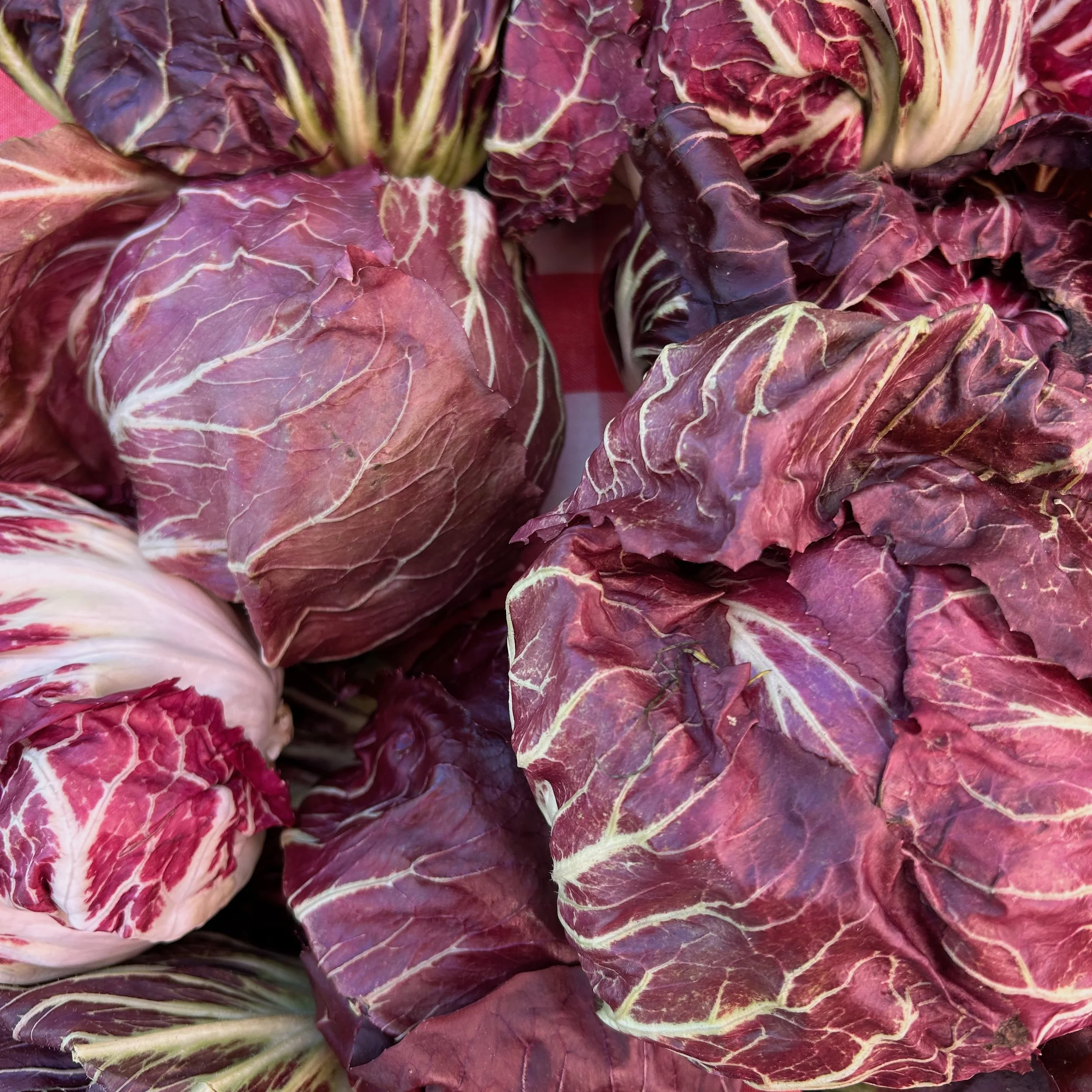 My Favorite Farmers Market