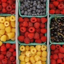 In Season: June