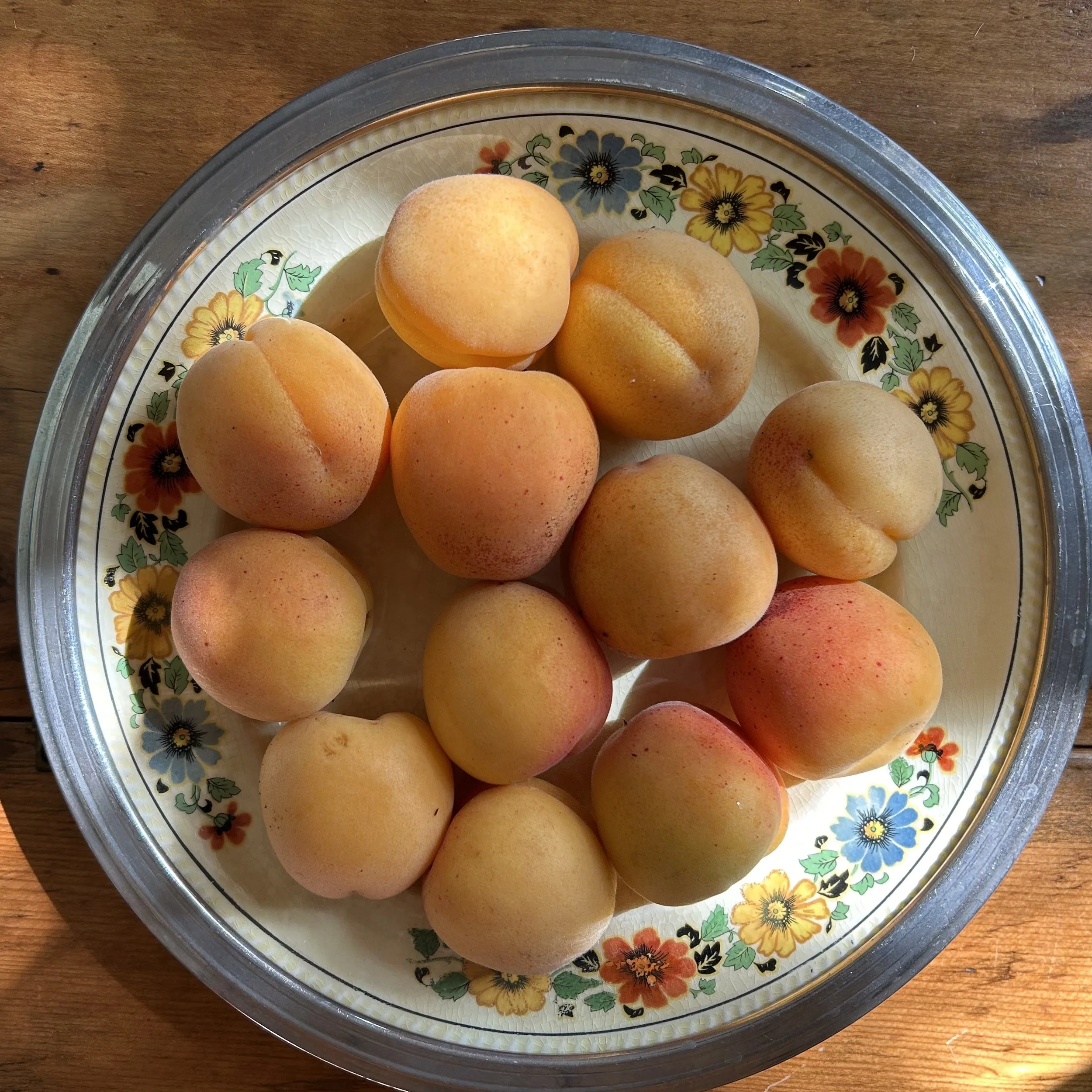 In My San Diego Garden and Kitchen