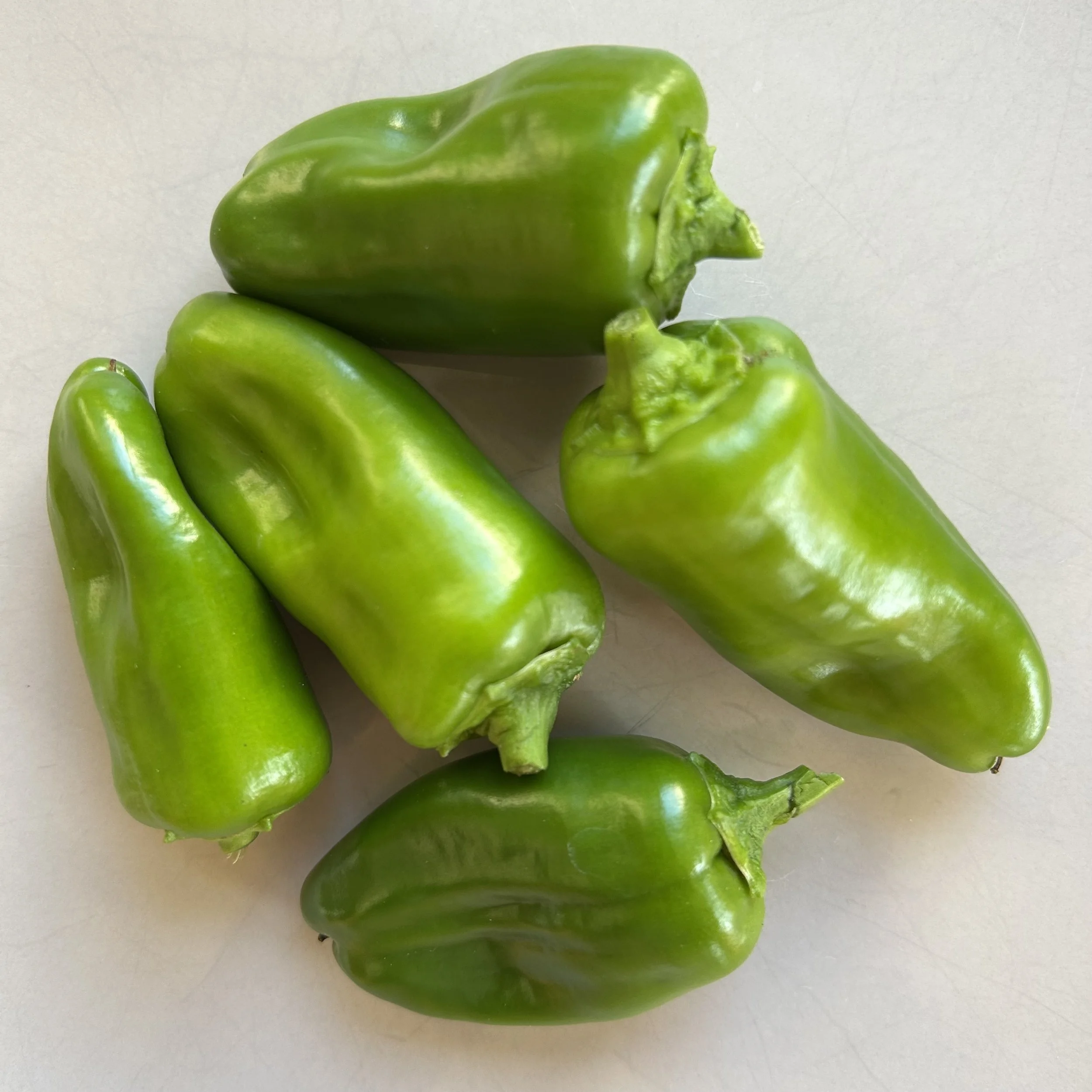 In My San Diego Garden and Kitchen