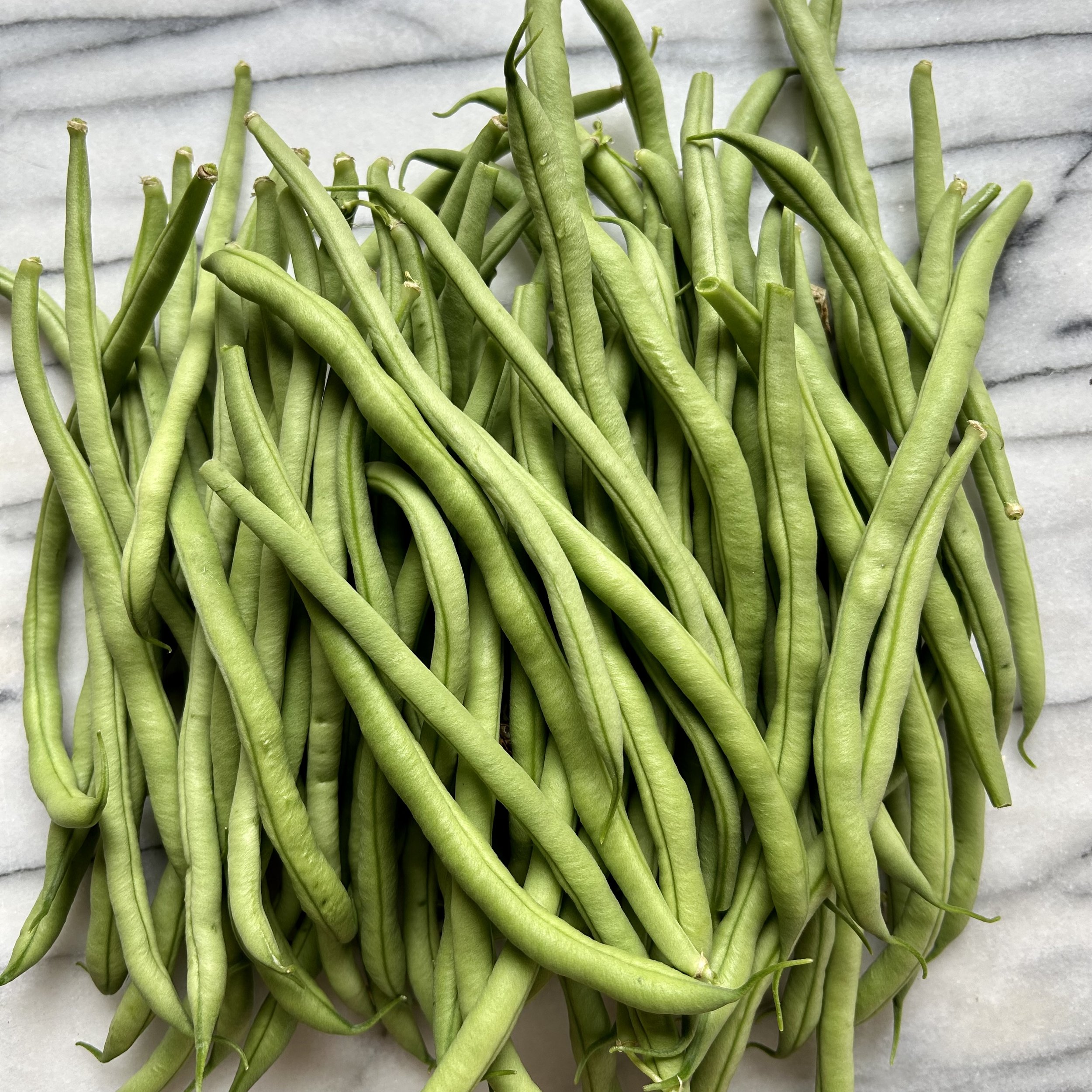 In My San Diego Garden and Kitchen