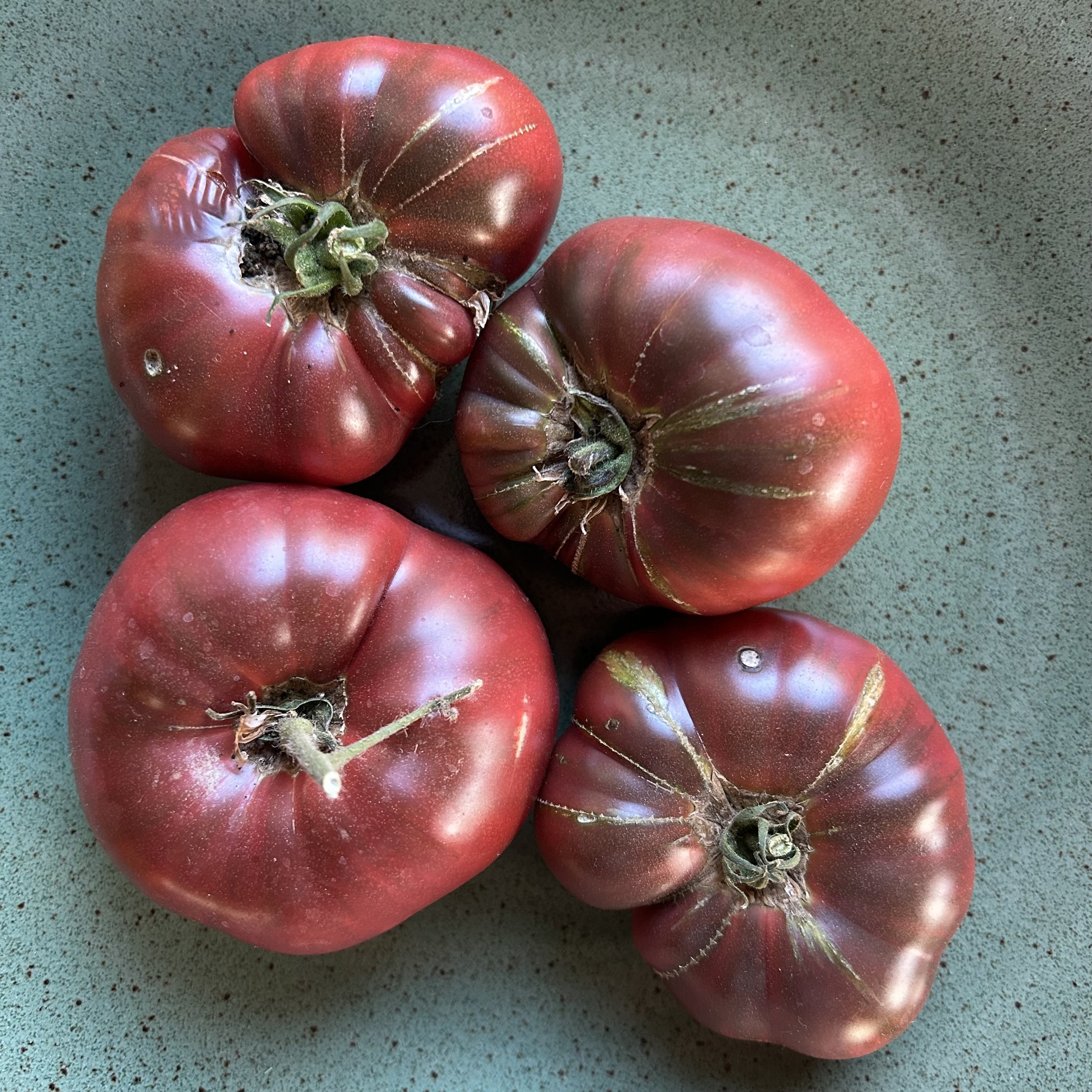 In My San Diego Garden and Kitchen
