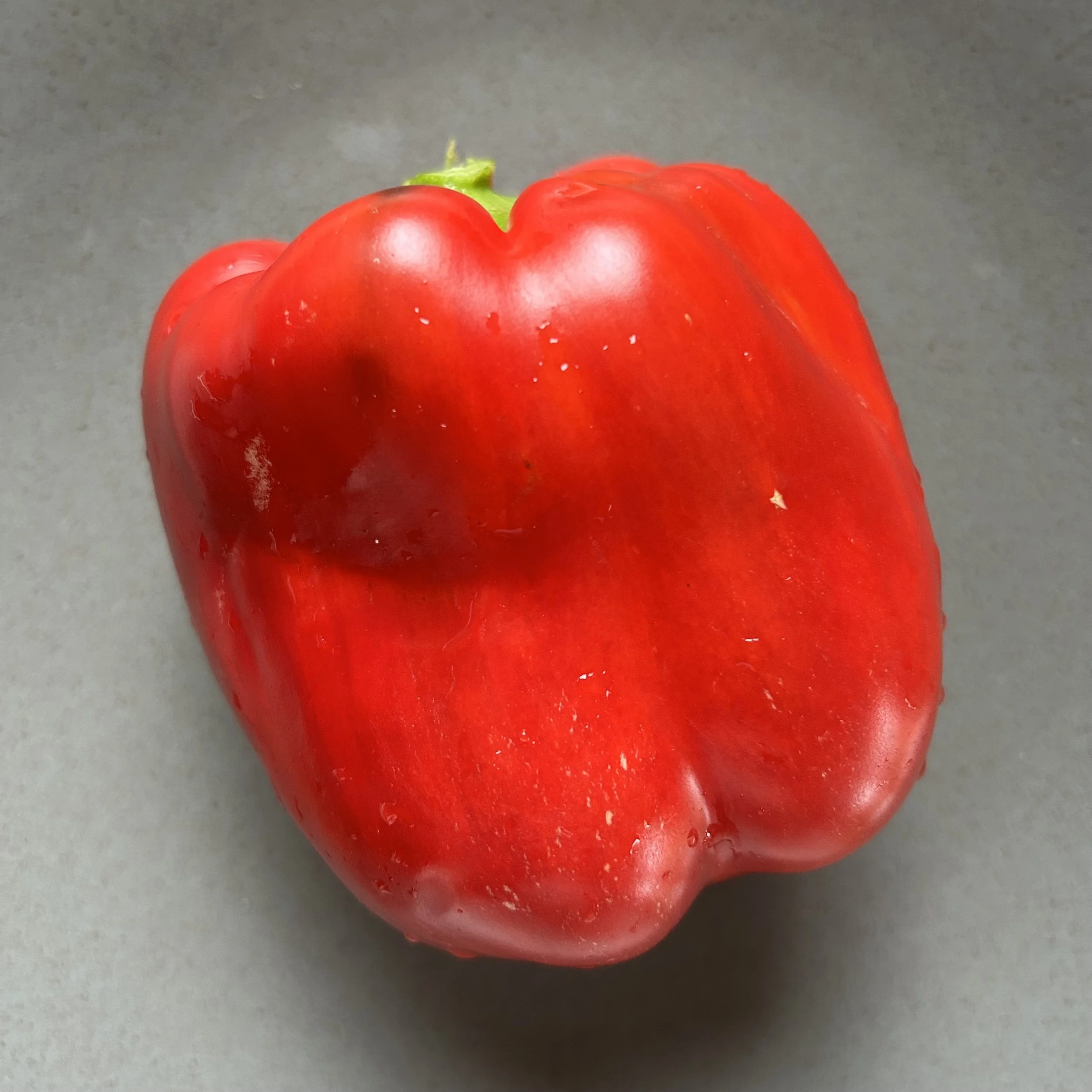 In My San Diego Garden and Kitchen