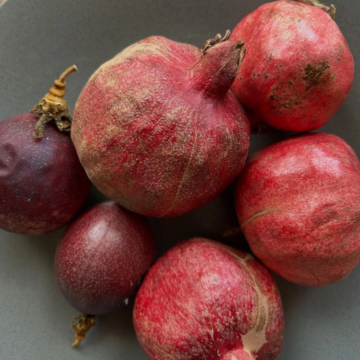 Fall garden shares. I offer strawberry guavas. #pomegranates #passionfruit #strawberryguavas