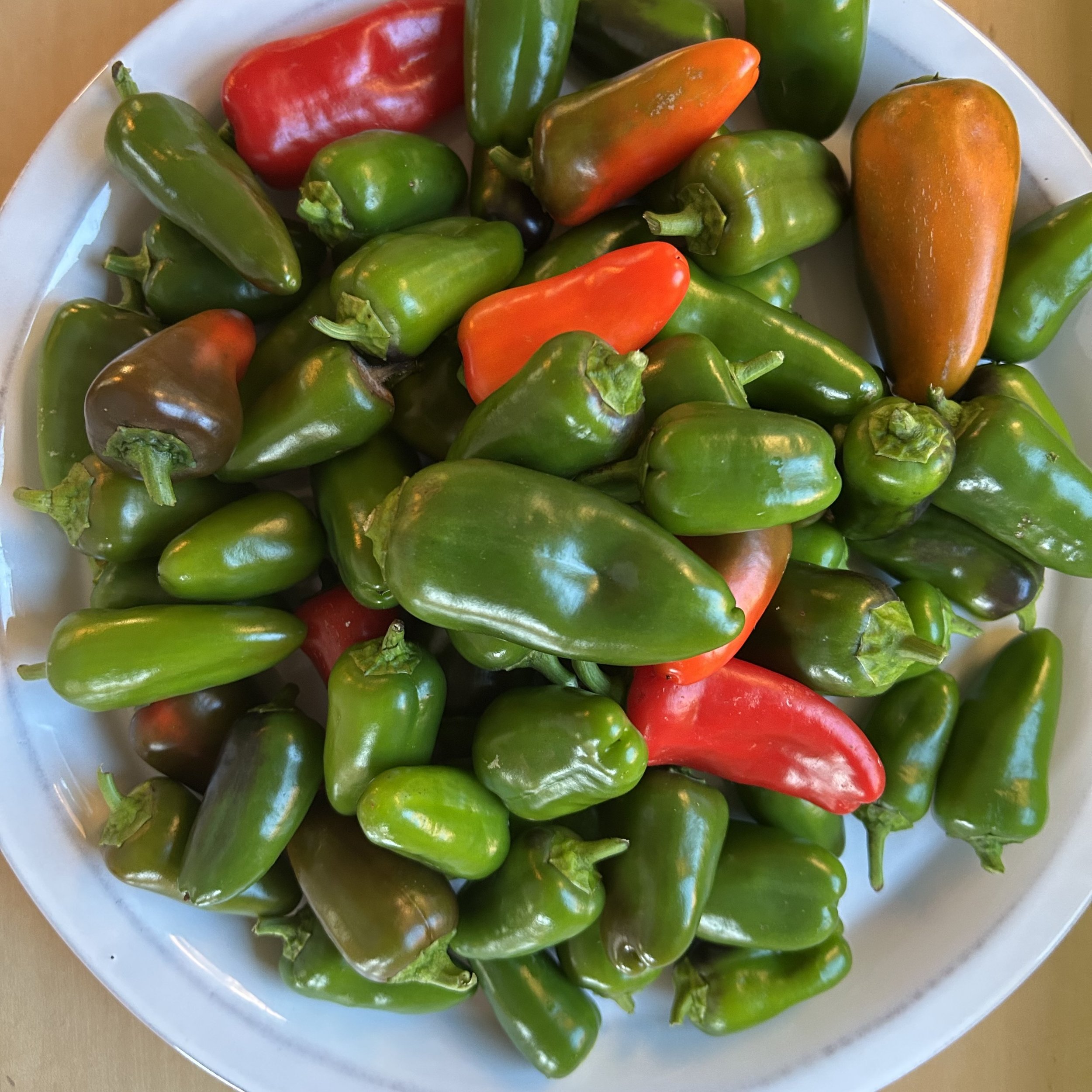 In My San Diego Garden and Kitchen