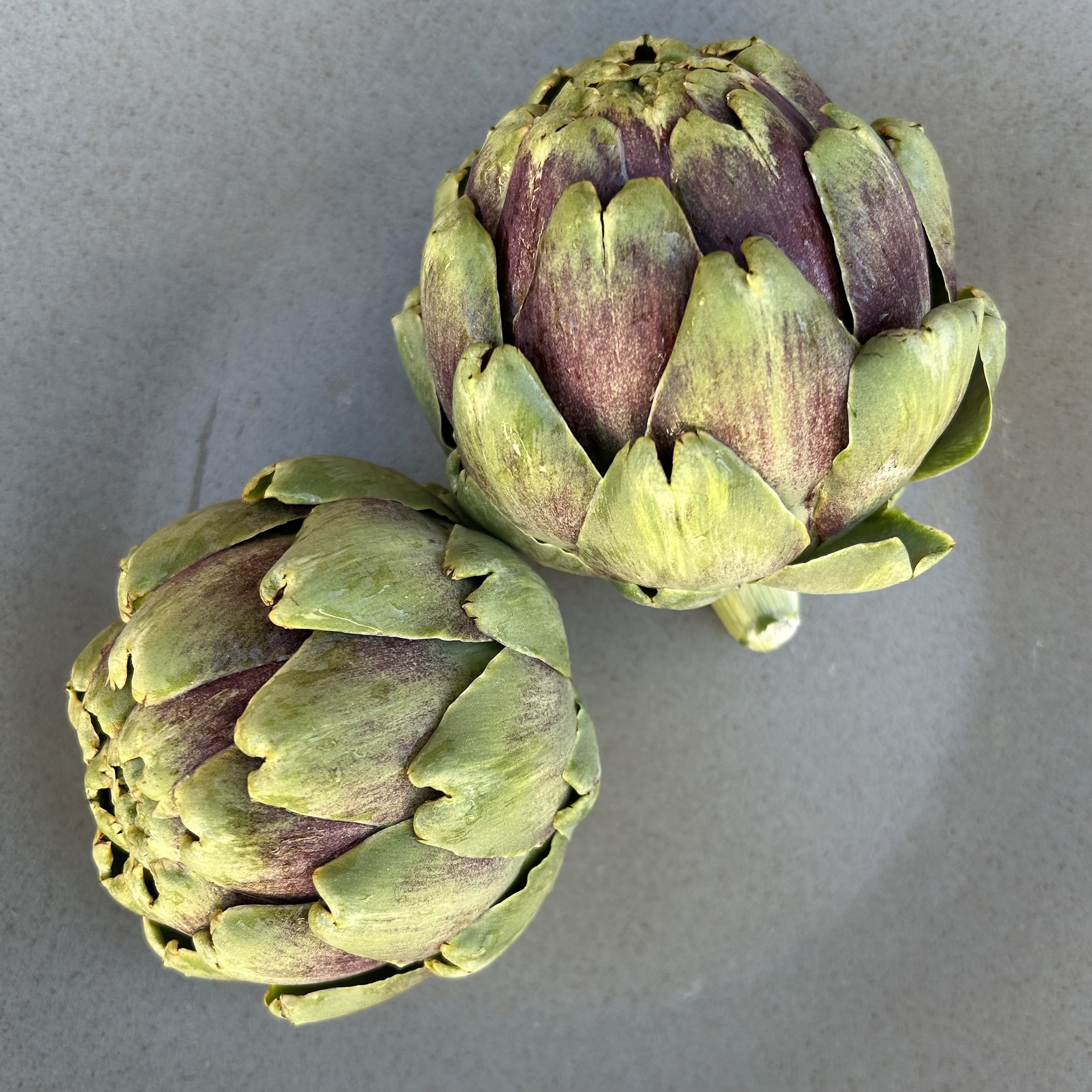 In My San Diego Garden and Kitchen