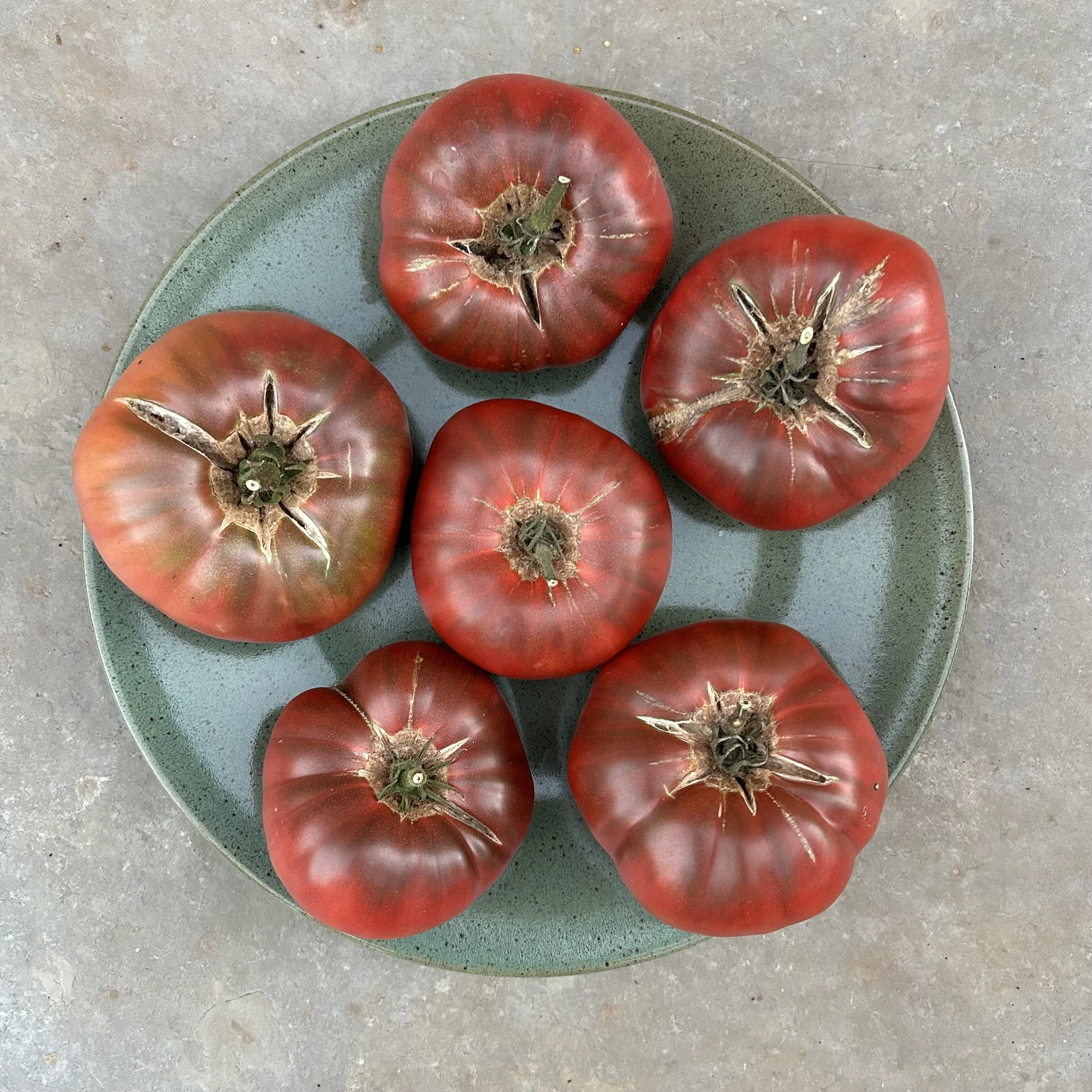 In My San Diego Garden and Kitchen