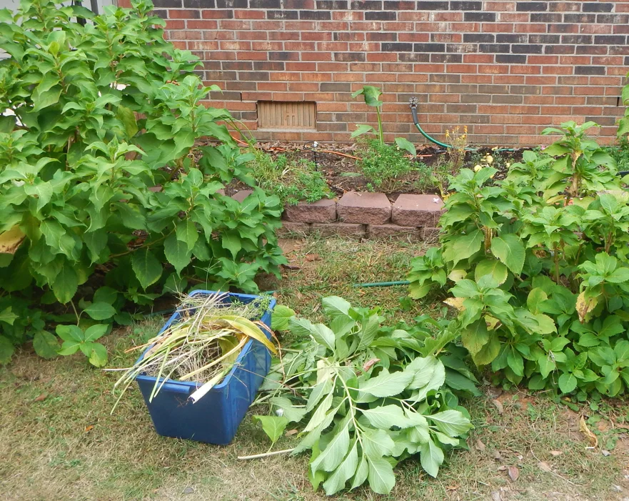 momma_fall_garden_cleaning.jpg