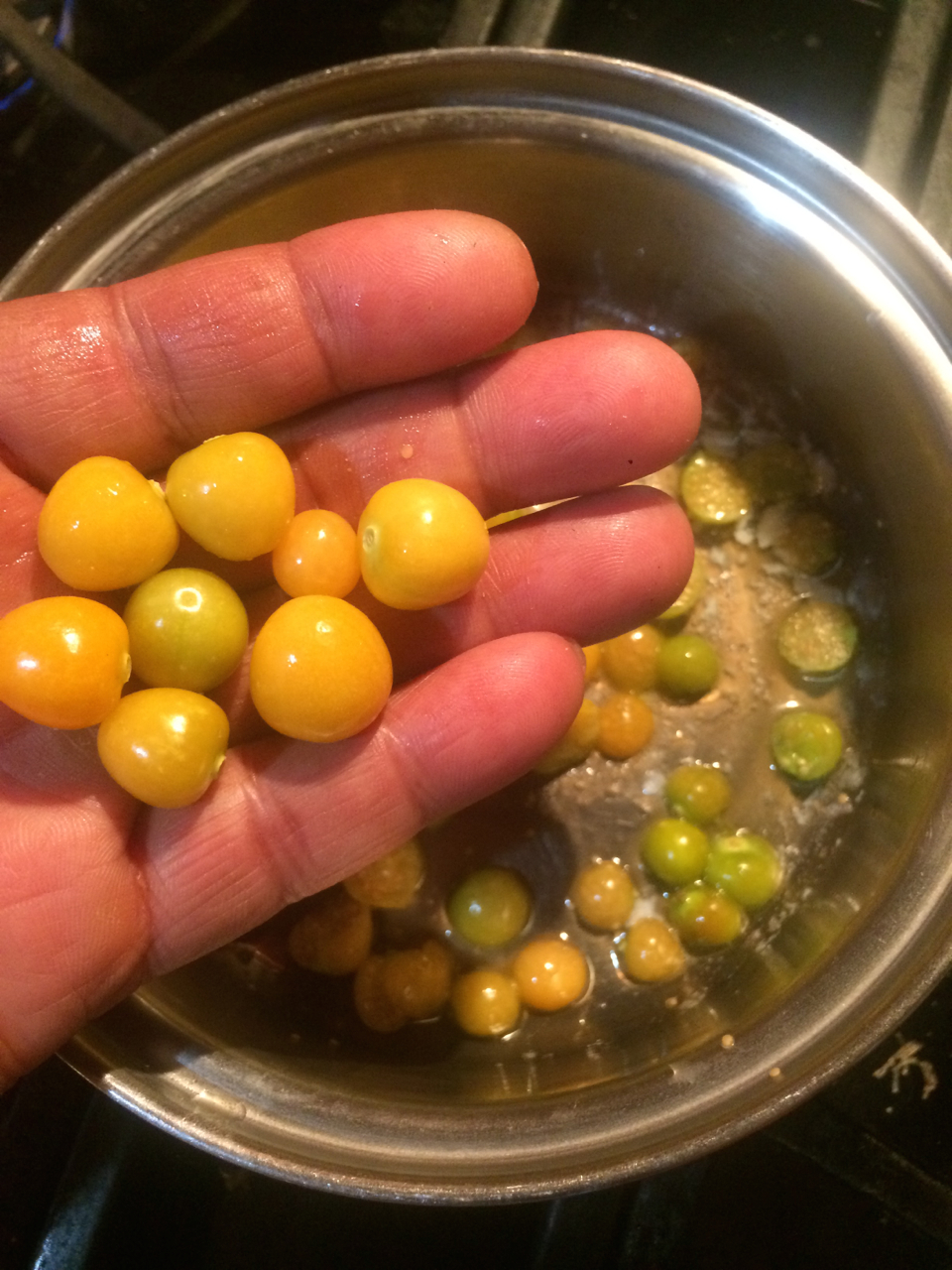 Volunteer Award 2018 Mossies - Aunt Molly’s ground cherry (Physalis pruinosa ‘Aunt Molly’)