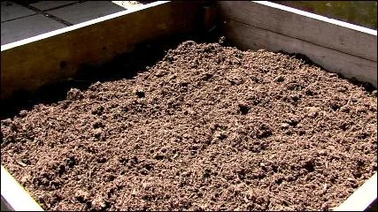 Dr. Carver promoted soil testing to improve crop yields. 