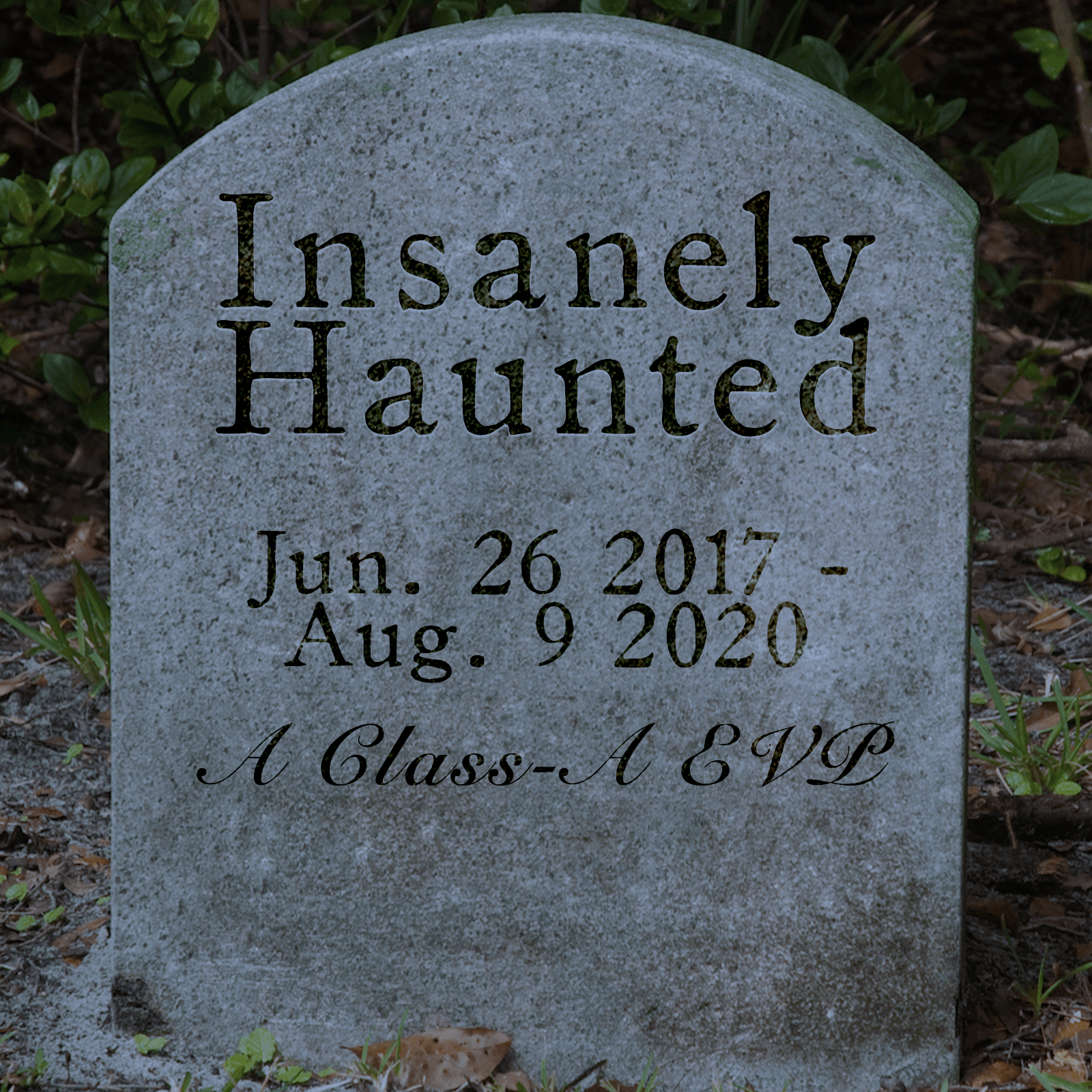 Insanely Haunted