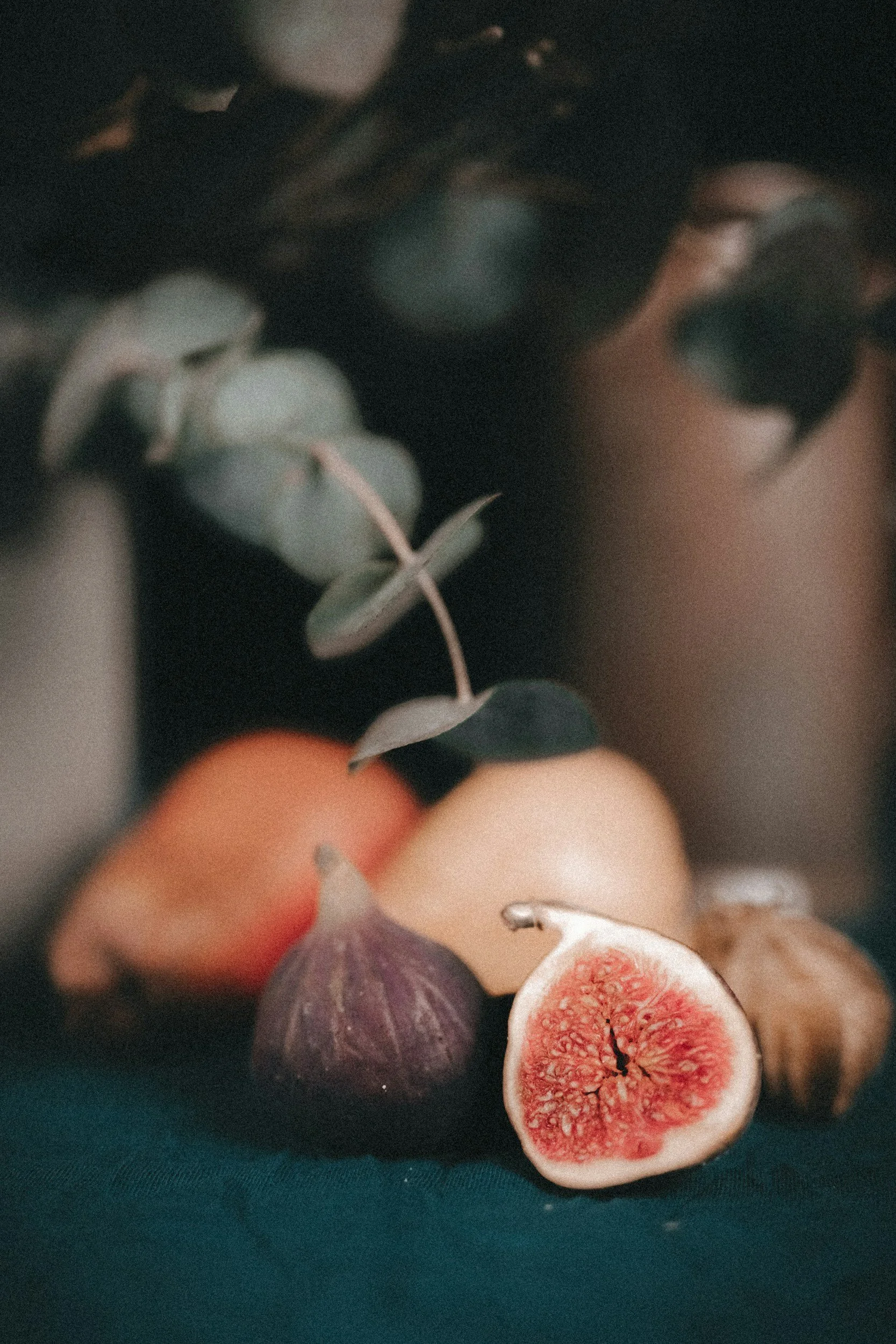 unsplash-image--YX9vv1CxLY.jpg