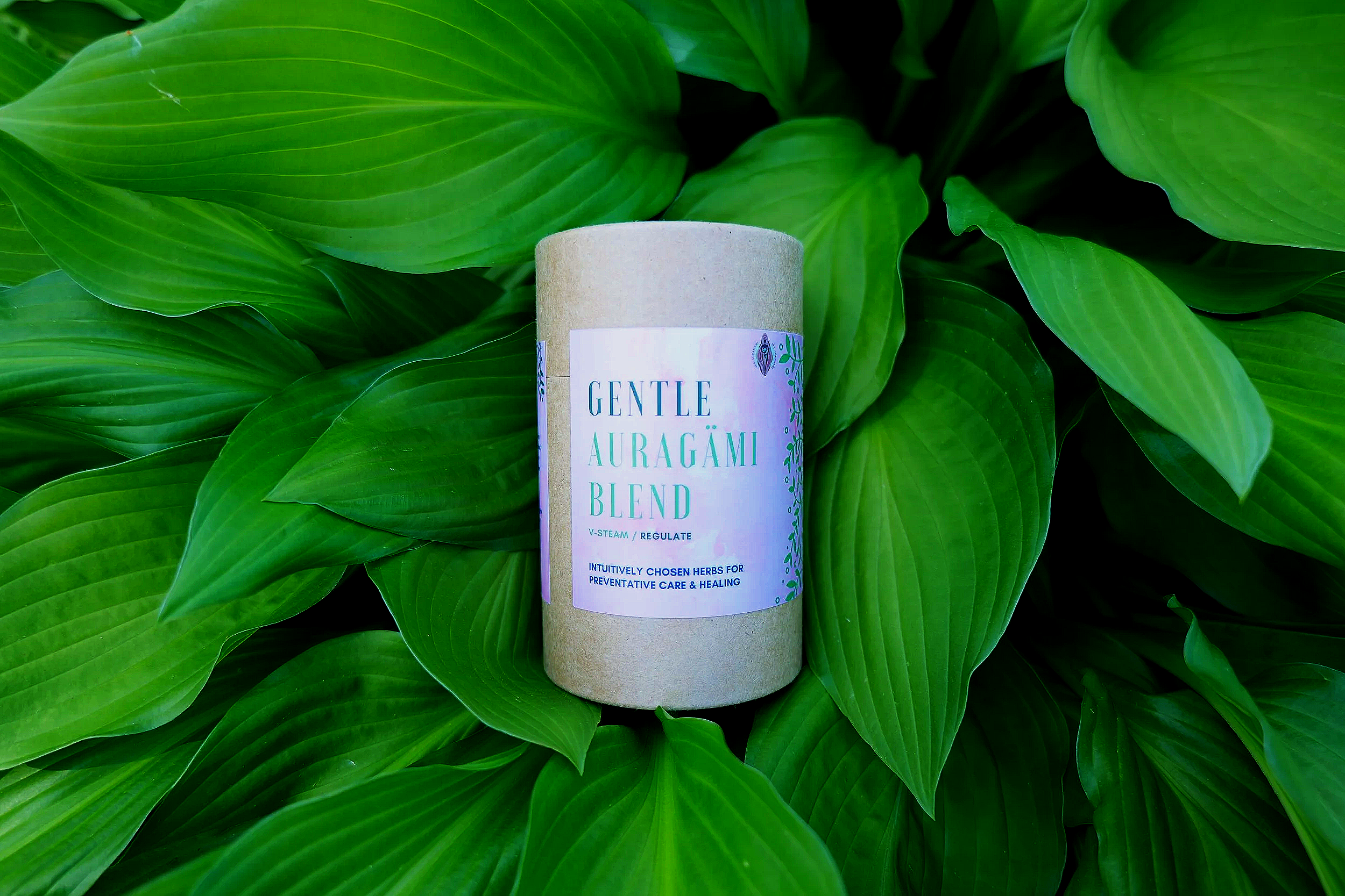 Gentle Auragämi Blend