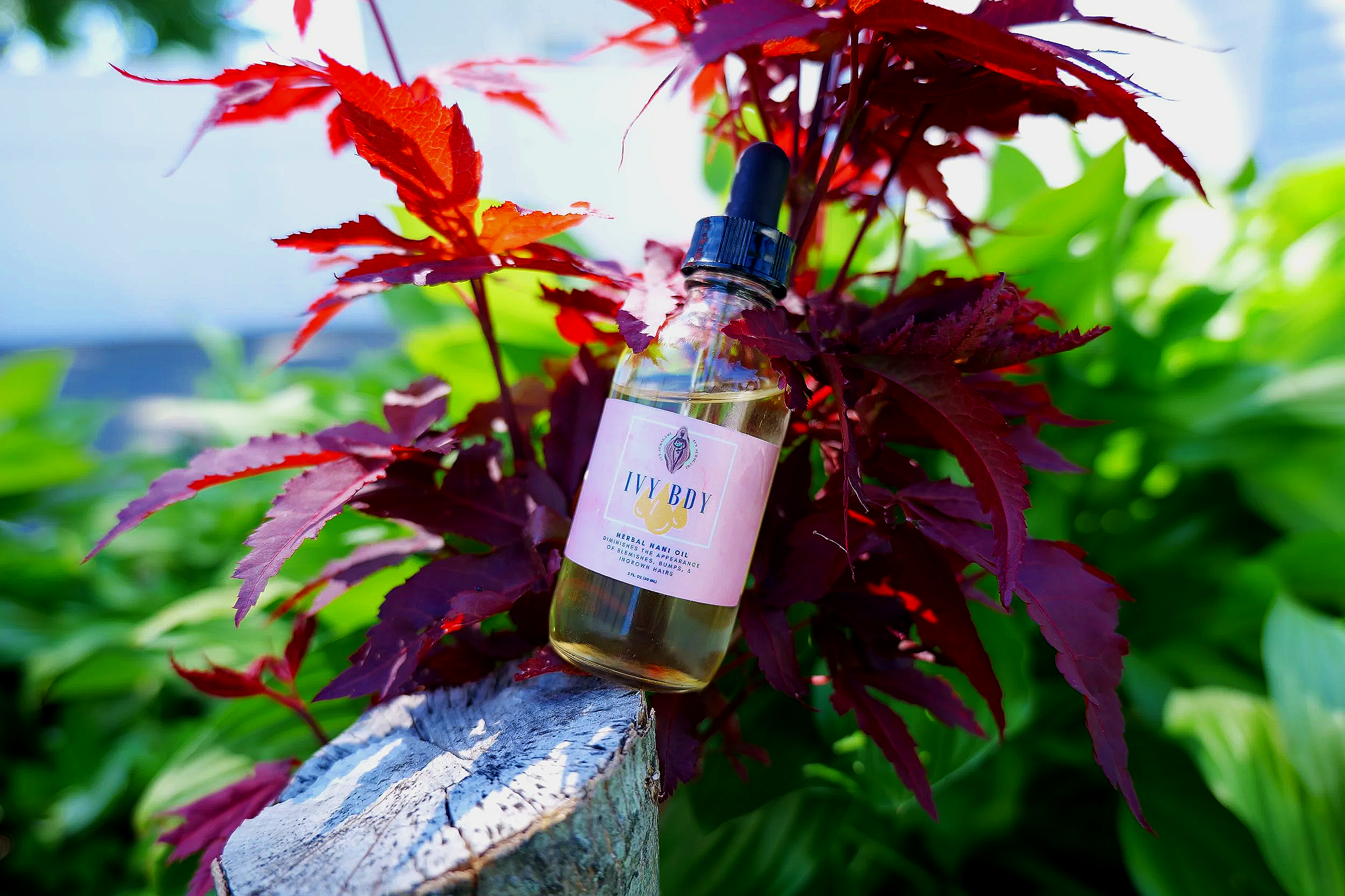 IVY BDY Herbal Nani Oil - 2oz