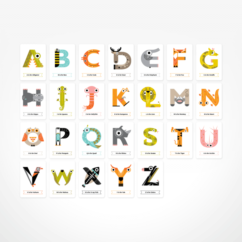 flash_cards_4-800x800.png