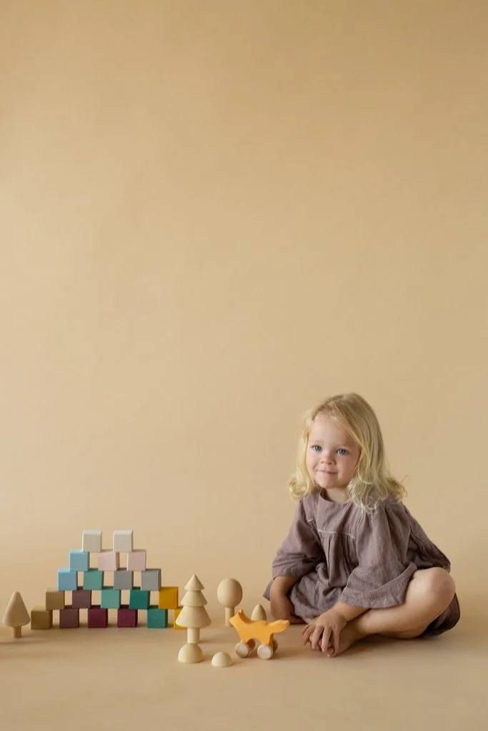 raduga-grez-forest-cubes-wooden-blocks-children-toys.jpg
