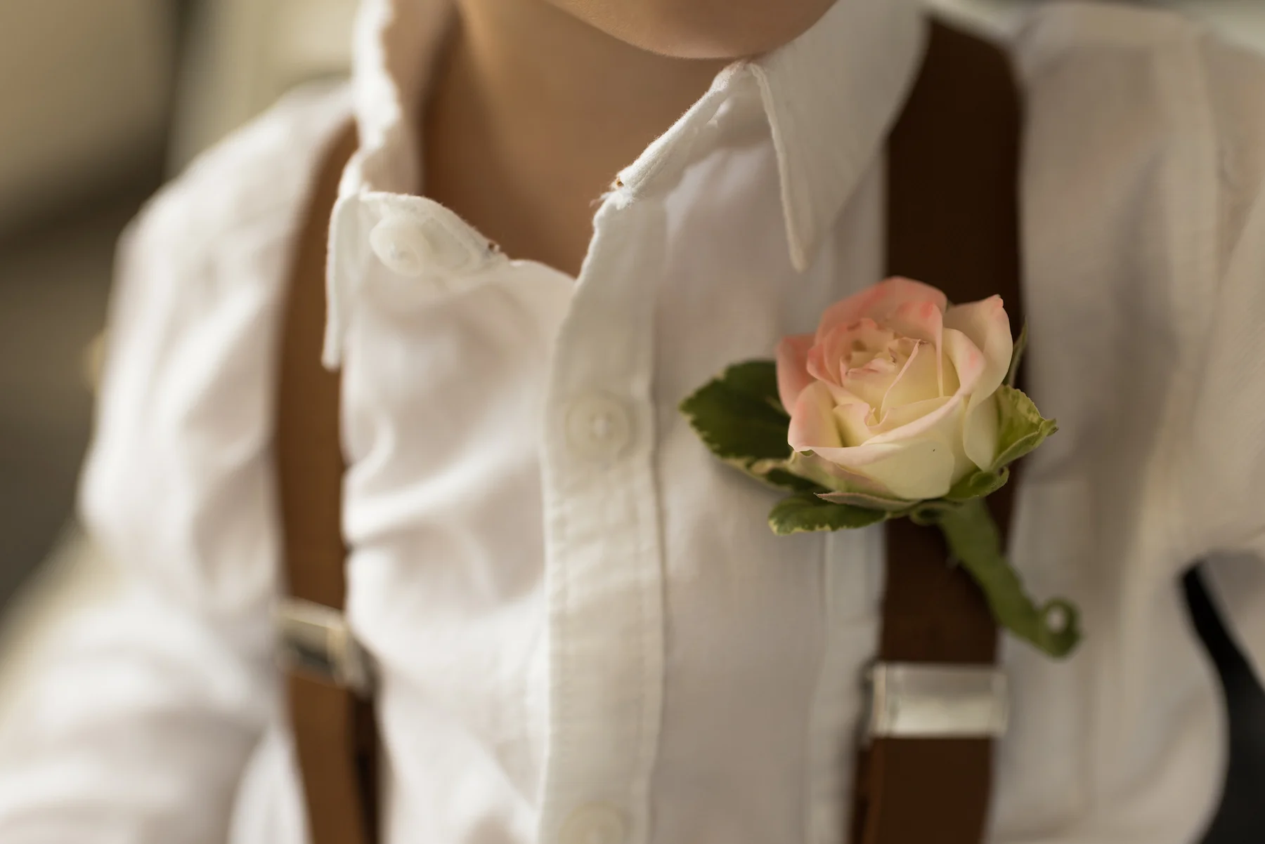 Alex Davis Photography