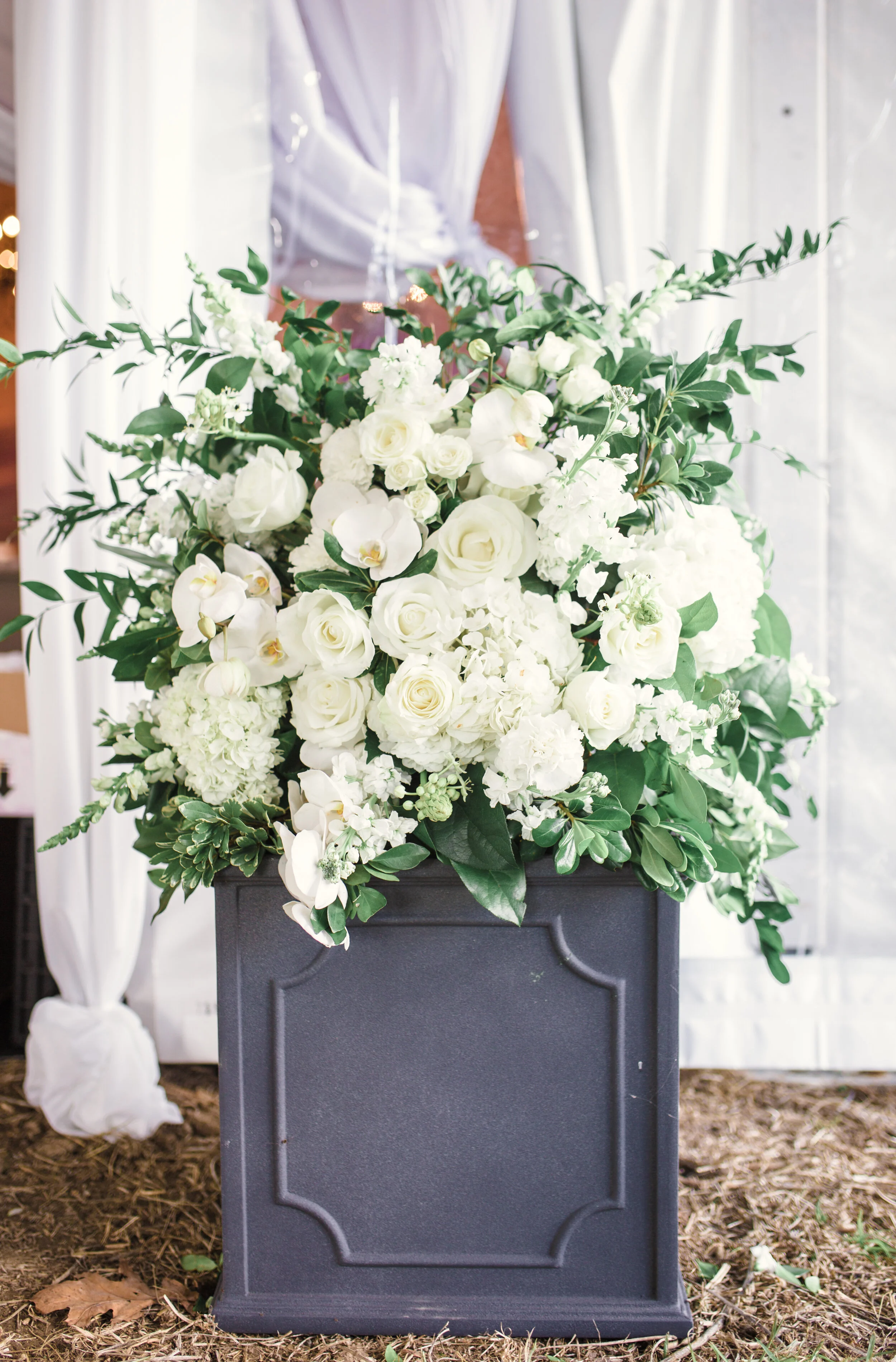 Amber Bridges Studio