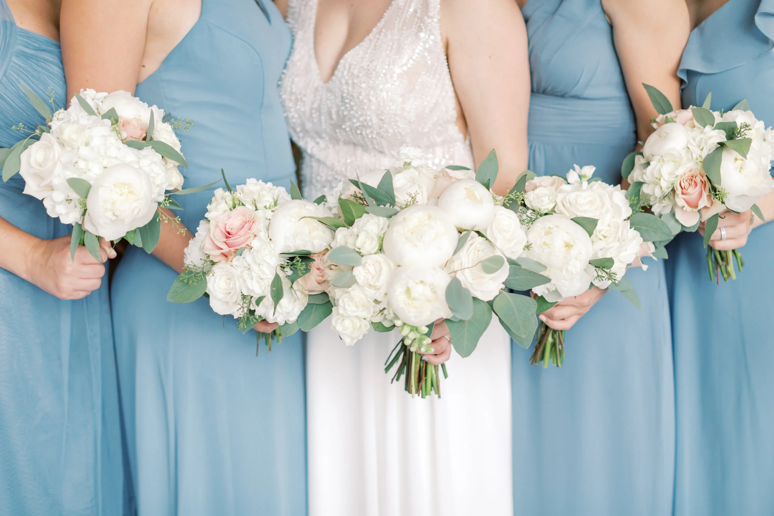 Megan Noll Photography