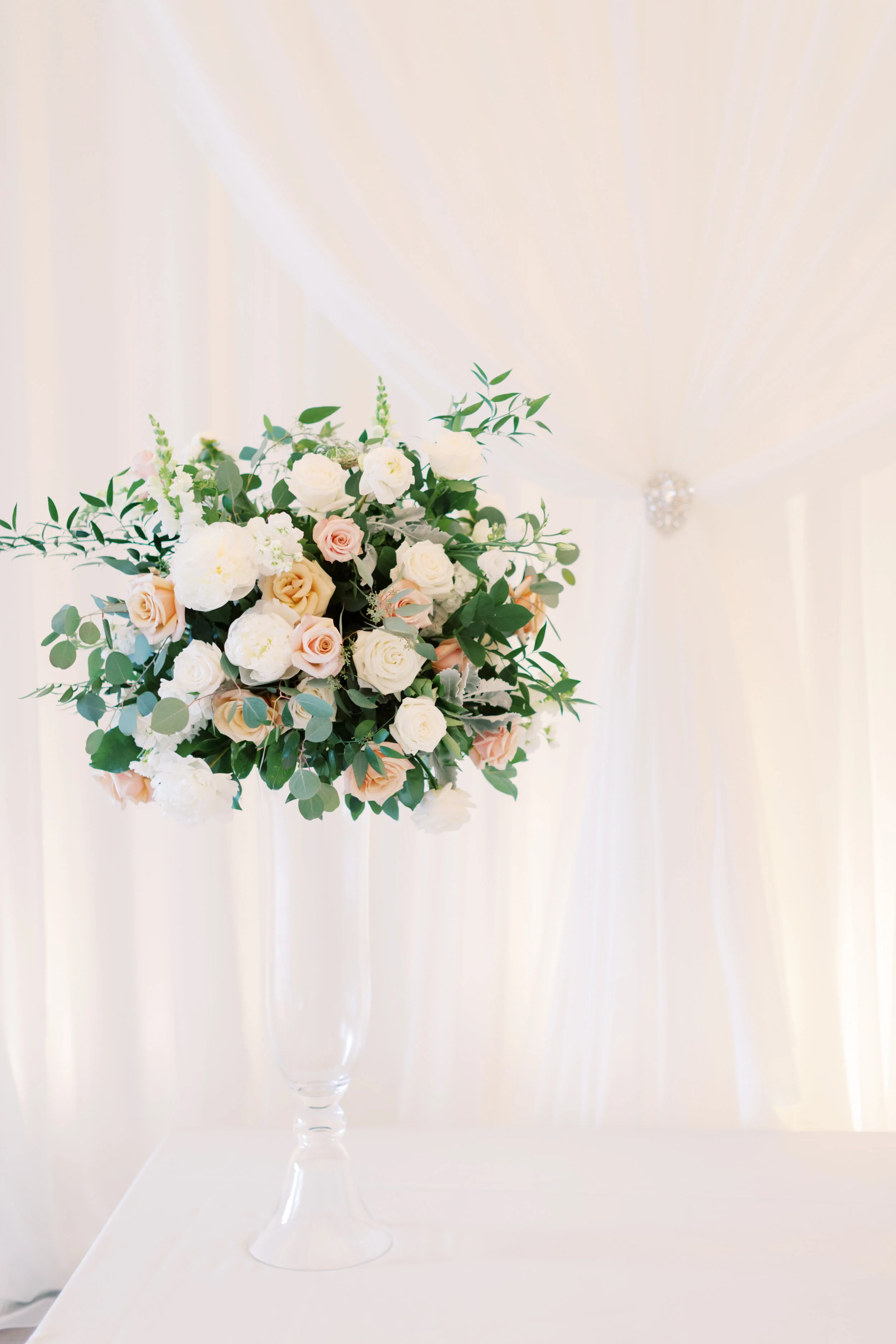 Megan Noll Photography