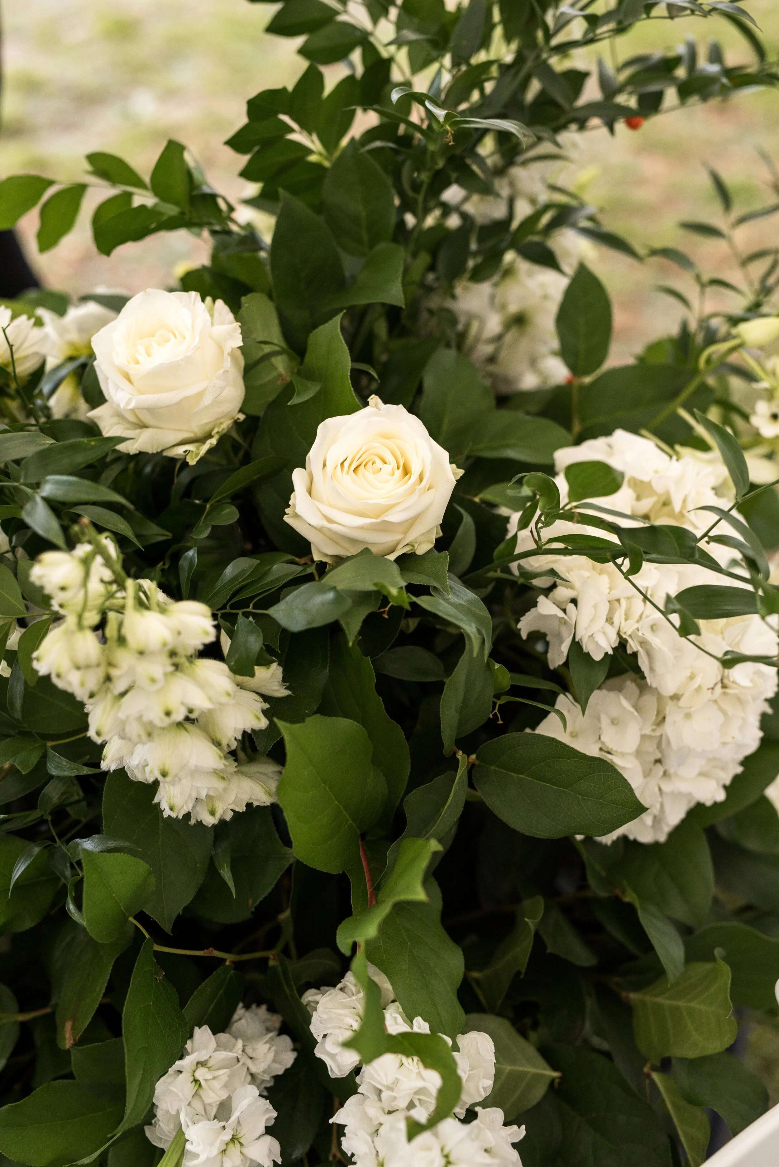 Alex Davis Photography