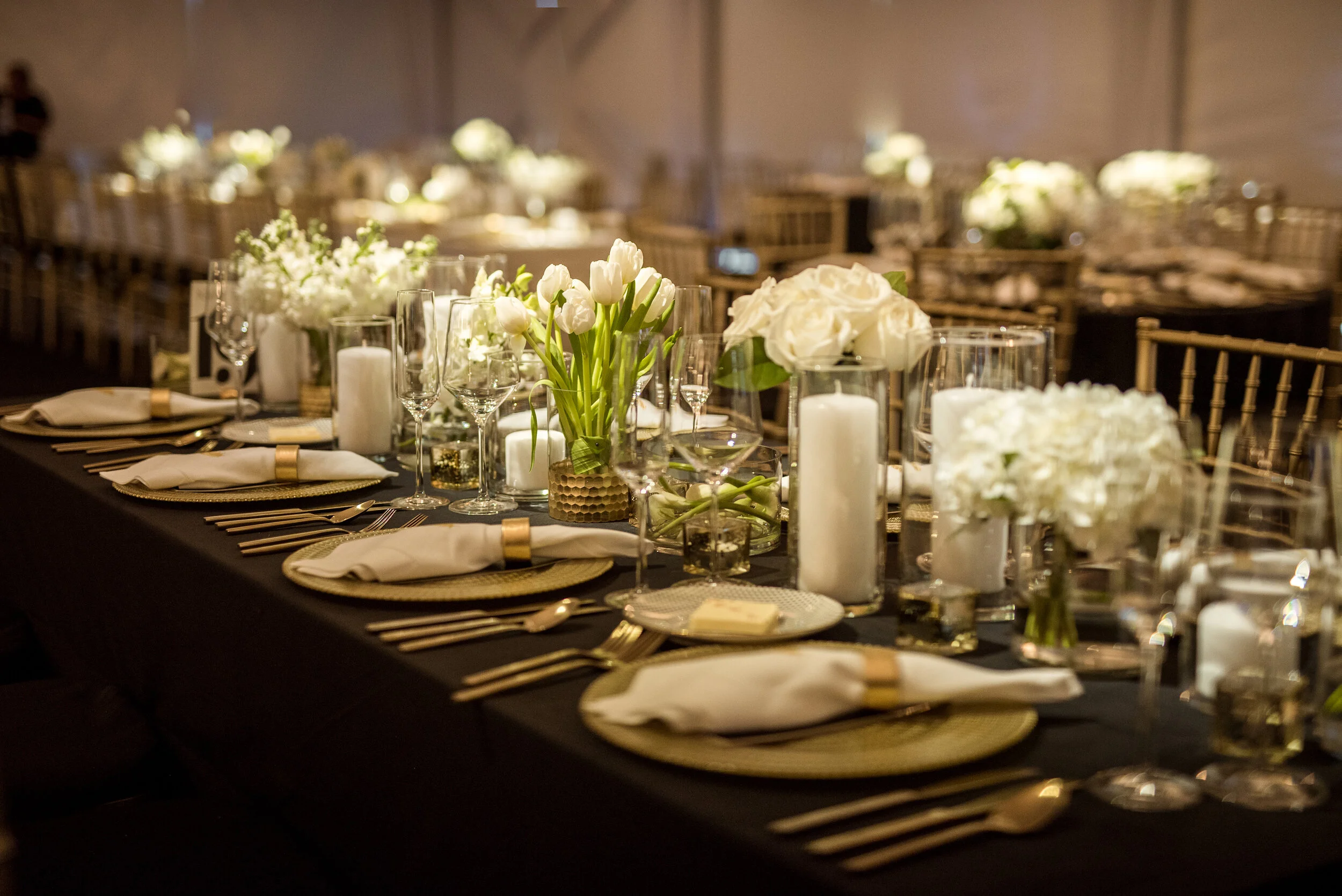 Alex Davis Photography